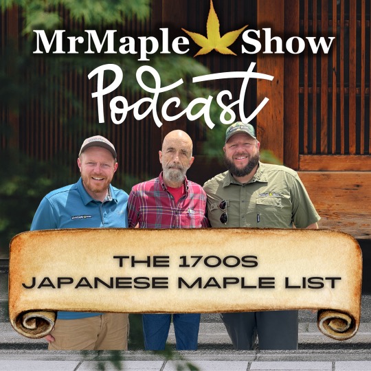 MrMaple Show