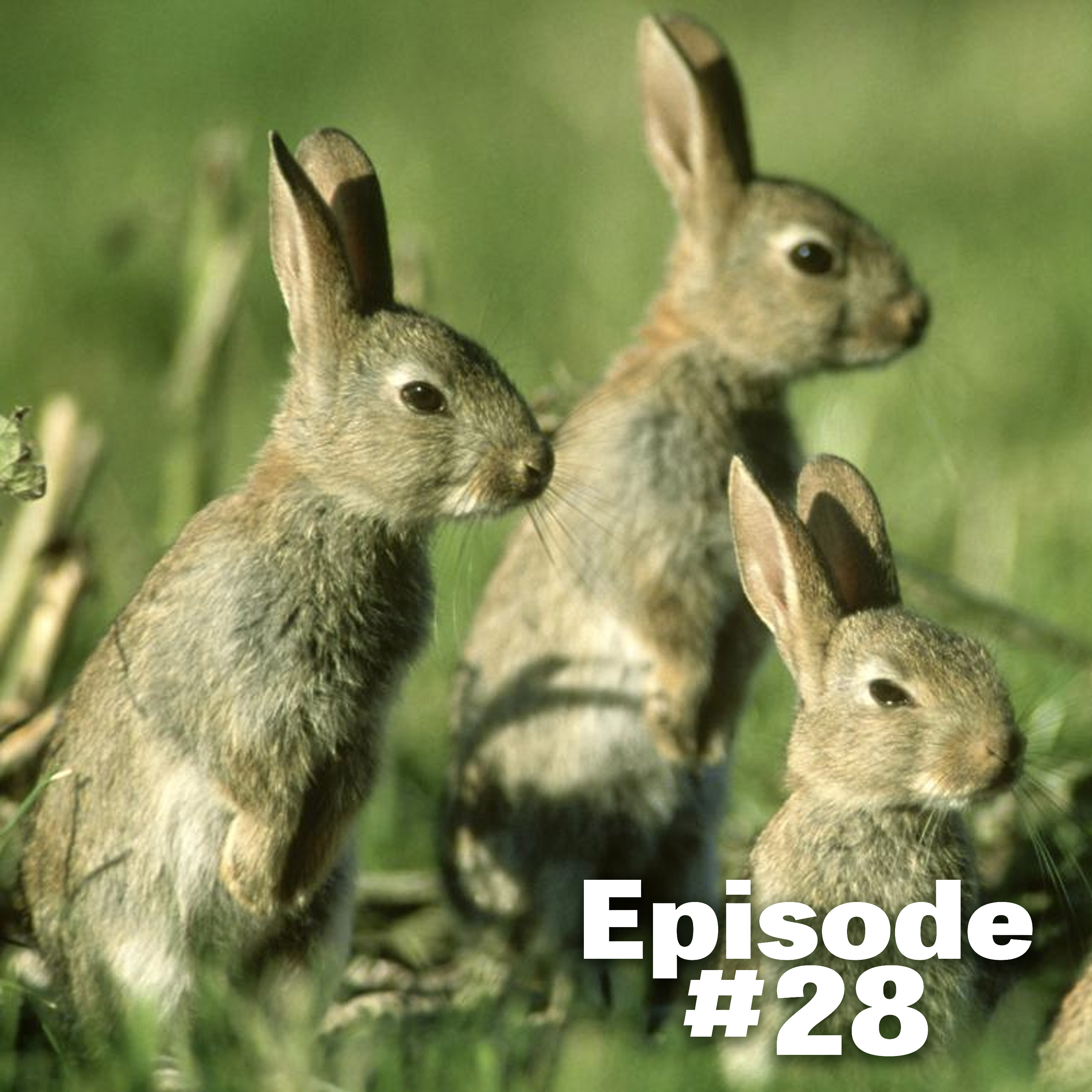 FieldsportsChannel\'s Podcast
