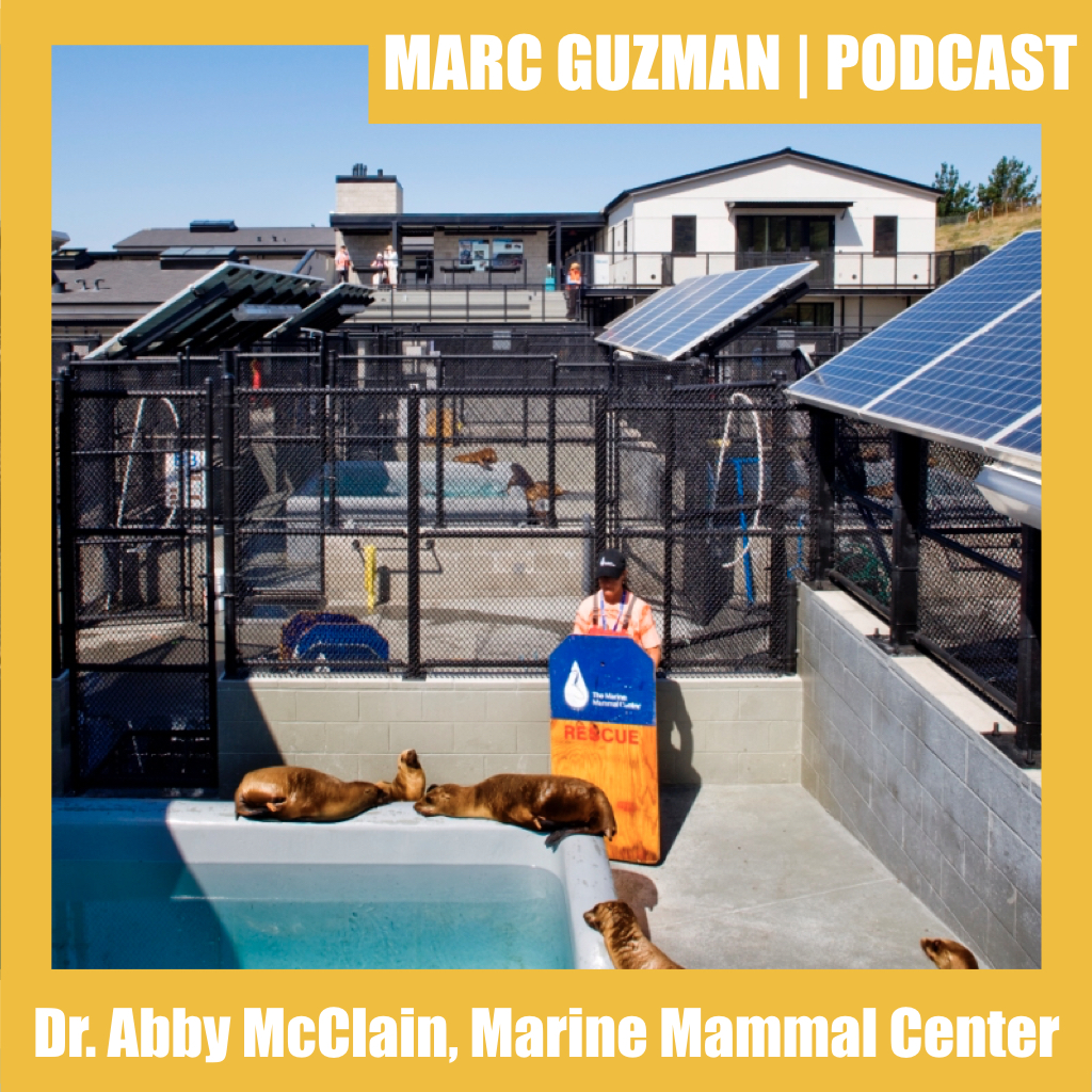 The Marc Guzman Experience