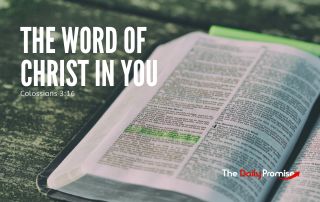 The Daily Promise
