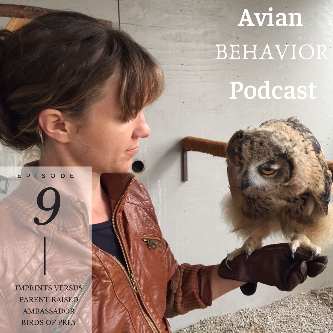 The Avian Behavior Podcast