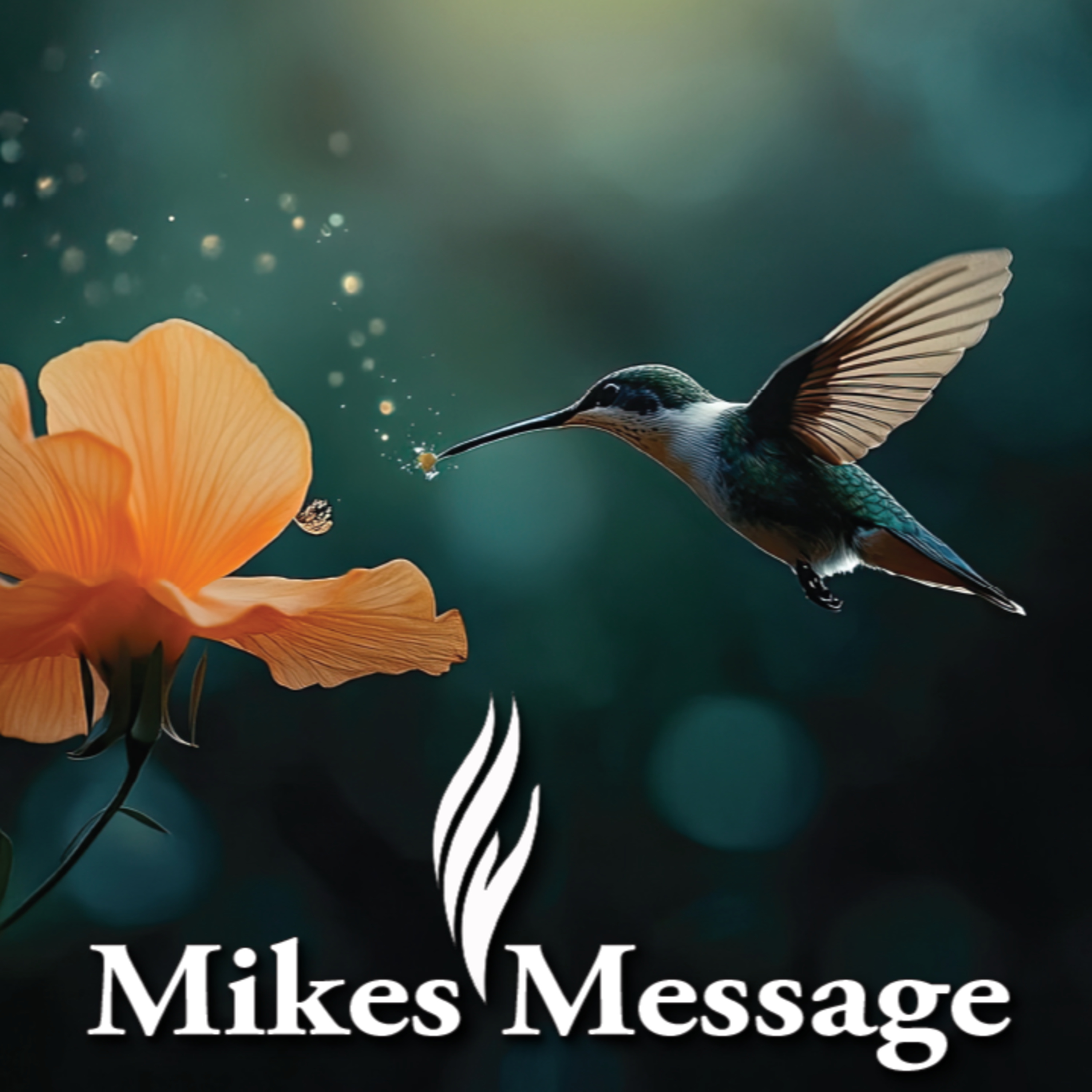 Mikes Message