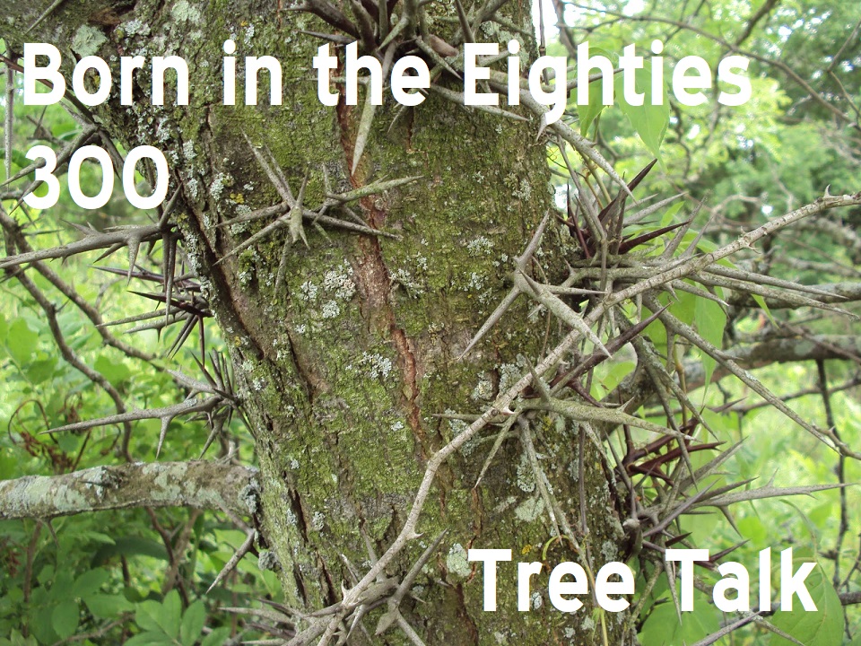 Born in the Eighties 300: Tree Talk