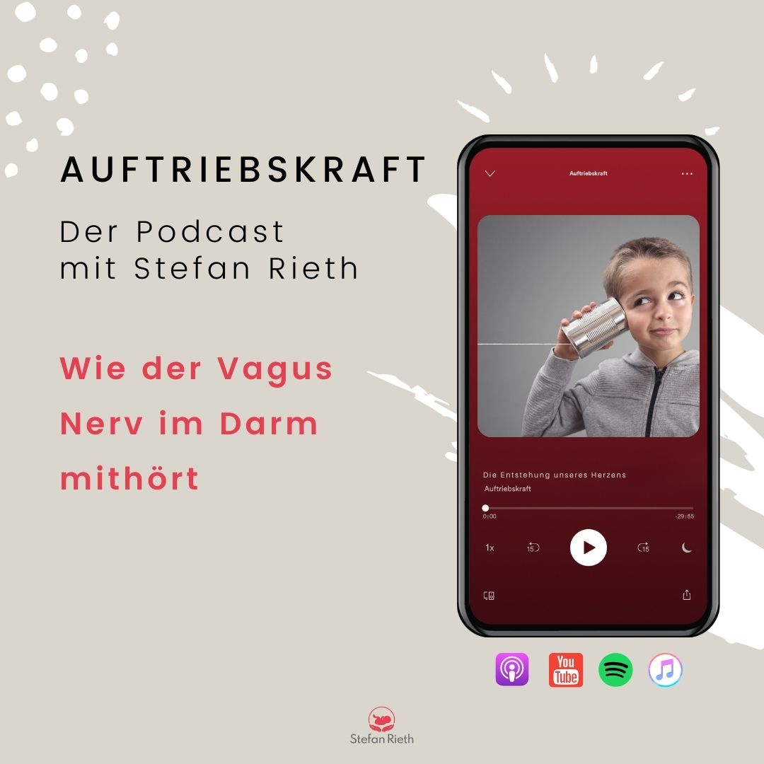 Stefan Rieth Podcast  - Einblicke in Neurozentrierte neuroaffektive Berührung