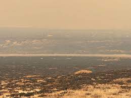 cover of episode 406 Andy Holloway Texas Wildfires