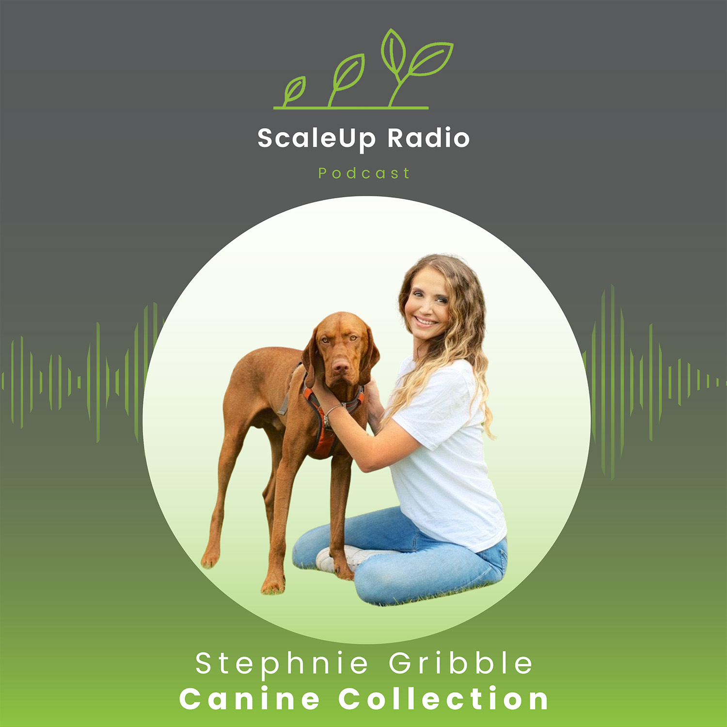 ScaleUp Radio