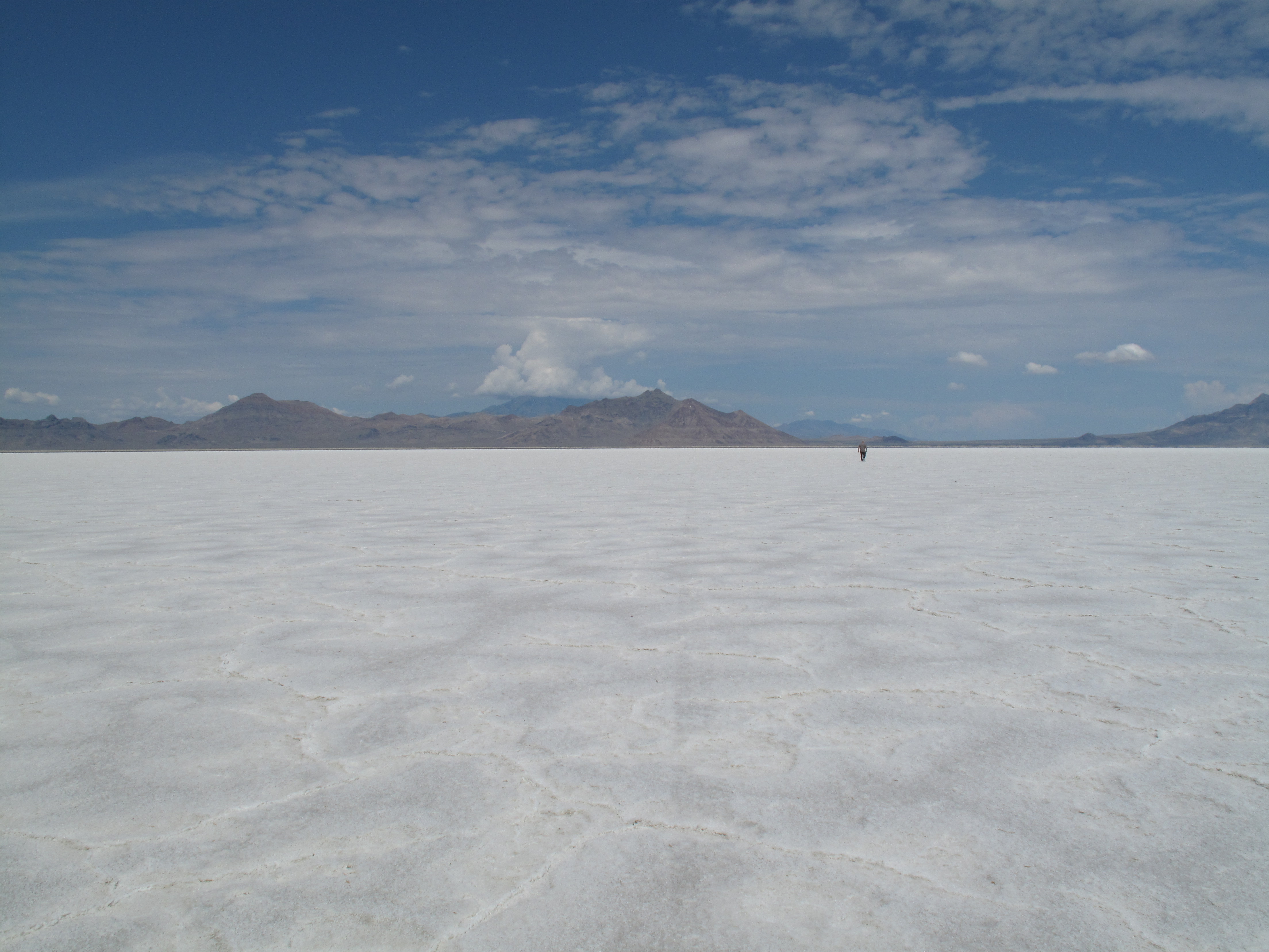 TWK Trucking with kingfish