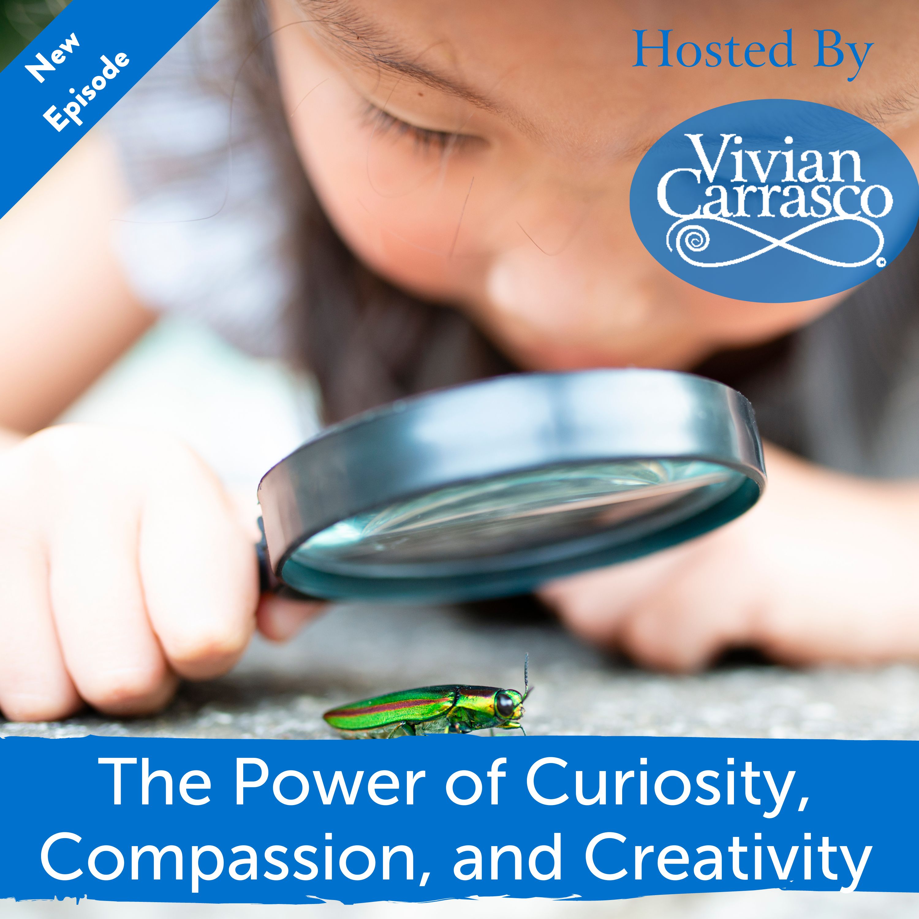 The Power of Curiosity, Compassion, and Creativity