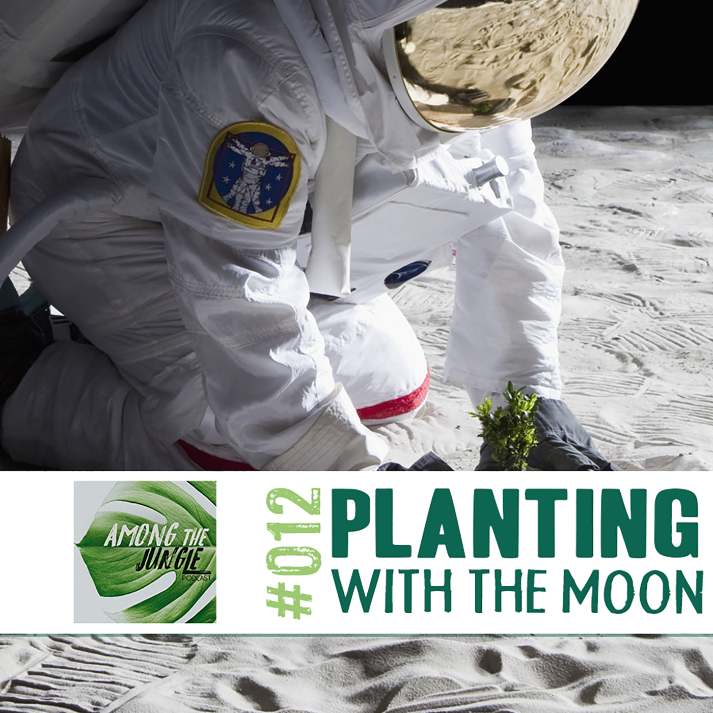 Lunar Gardening: Learning to Plant with the Moon