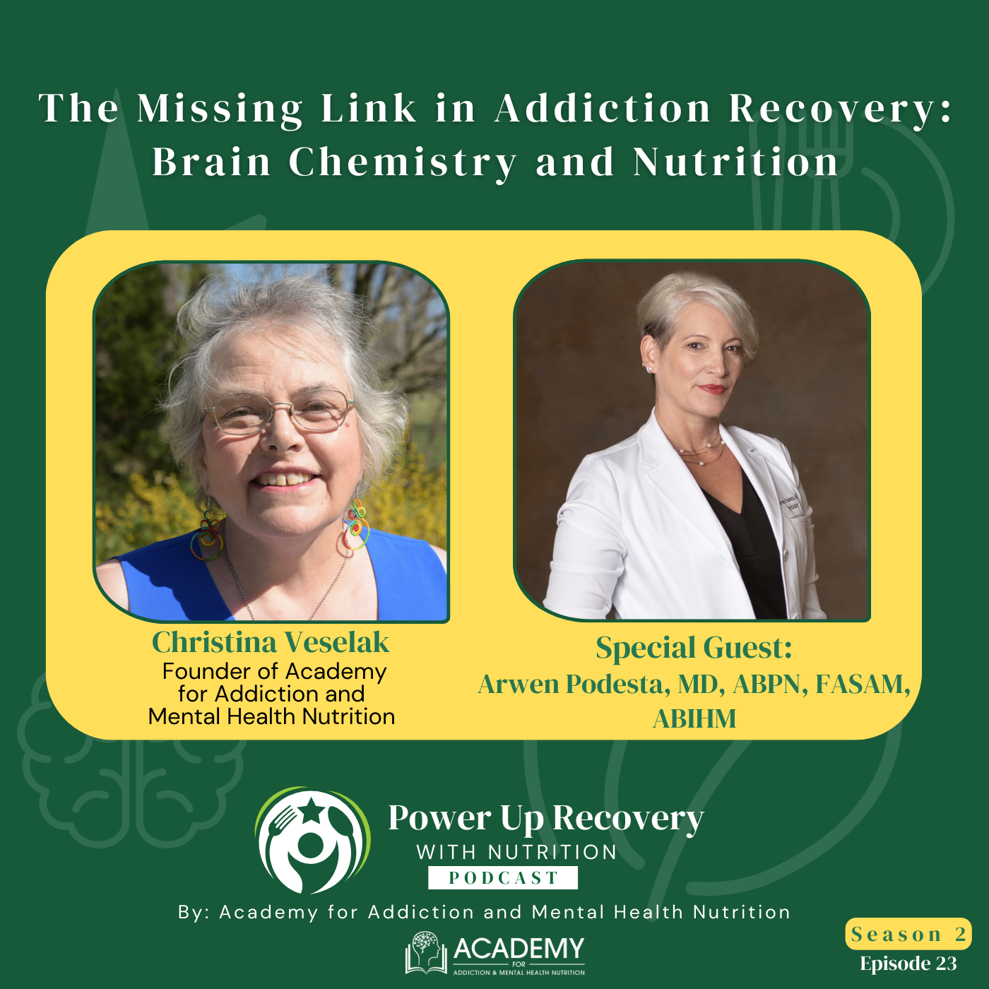 The Missing Link in Addiction Recovery: Brain Chemistry and Nutrition with Dr. Arwen Podesta S02E23