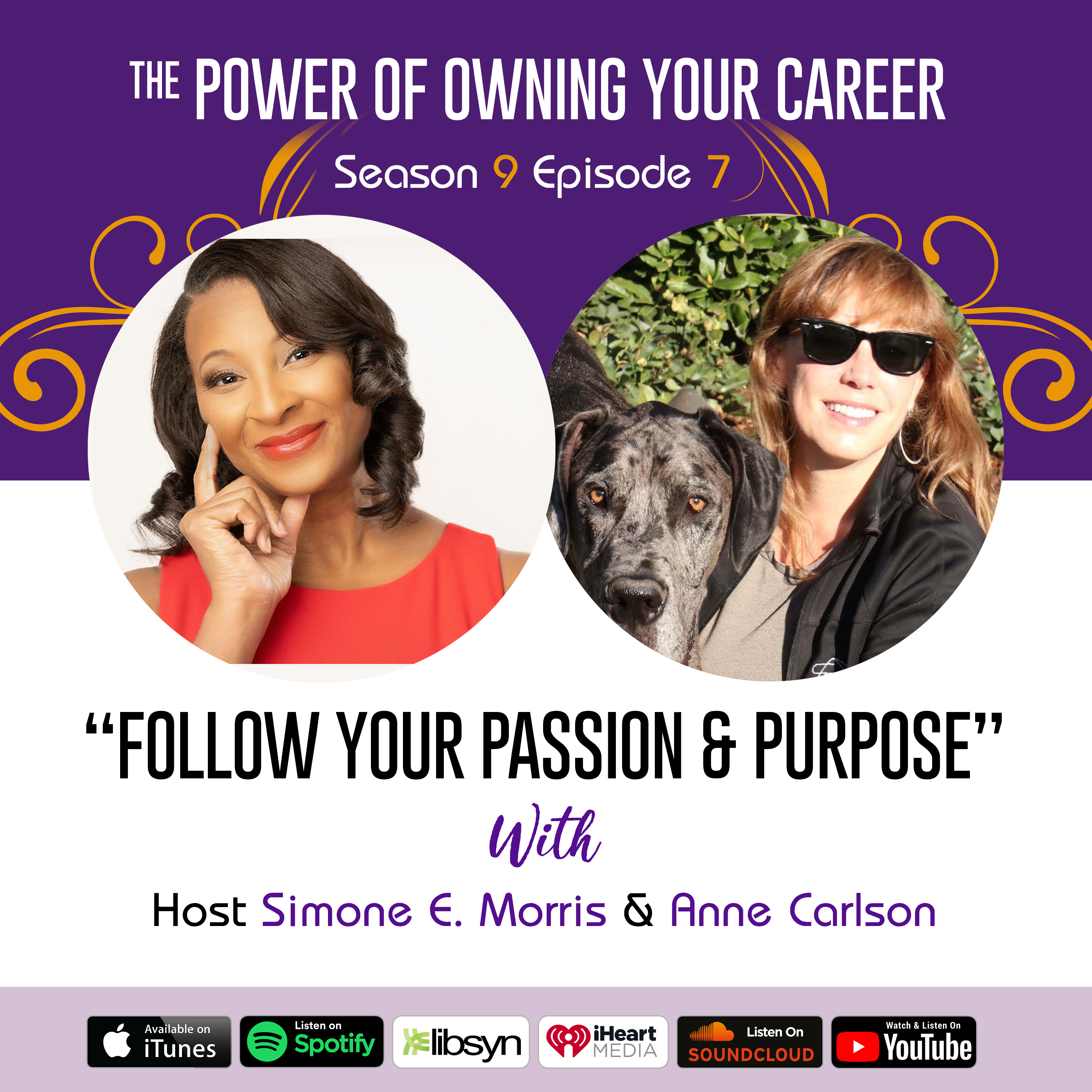 The Power of Owning Your Career Podcast