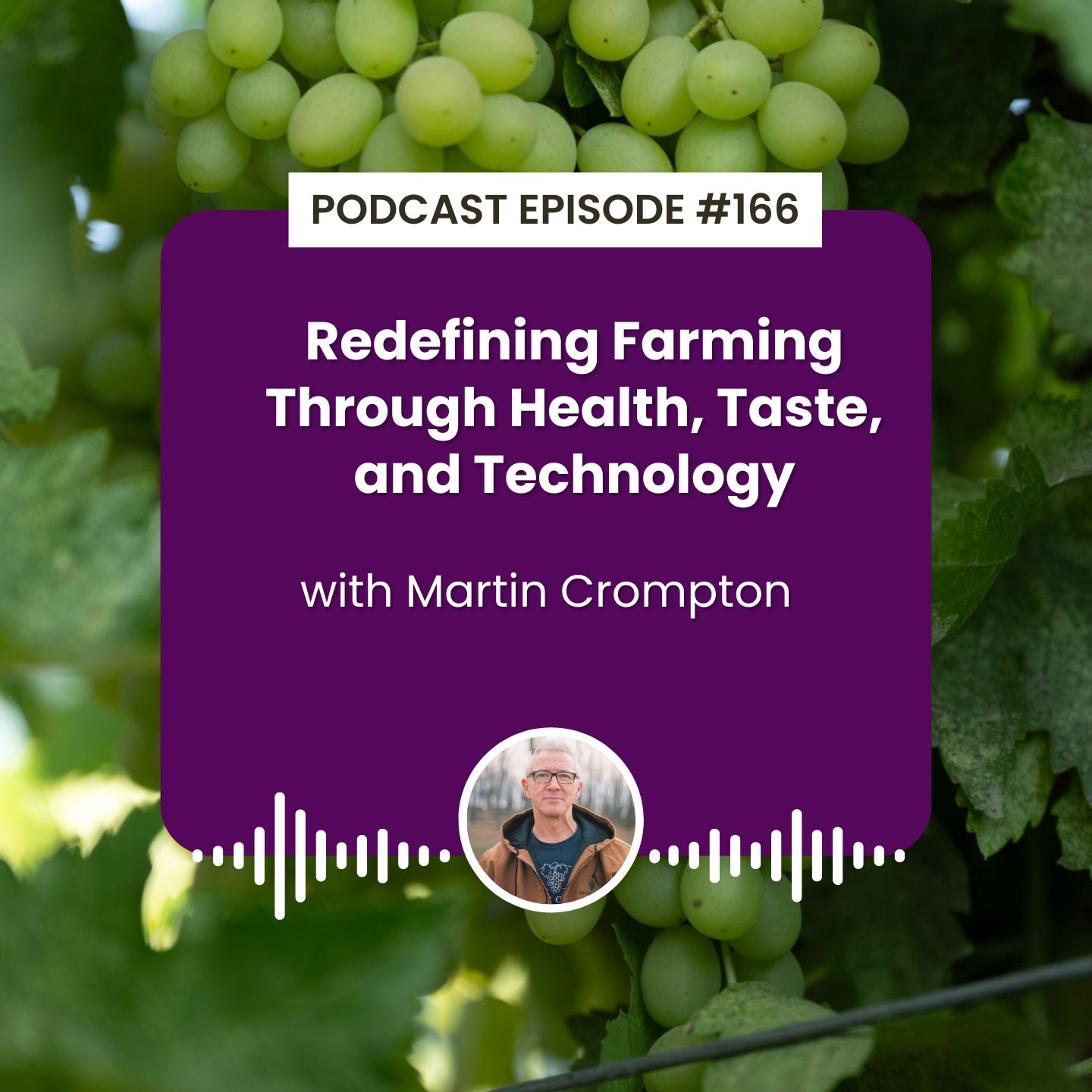 Episode 166: Redefining Farming Through Health, Taste, and Technology with Martin Crompton