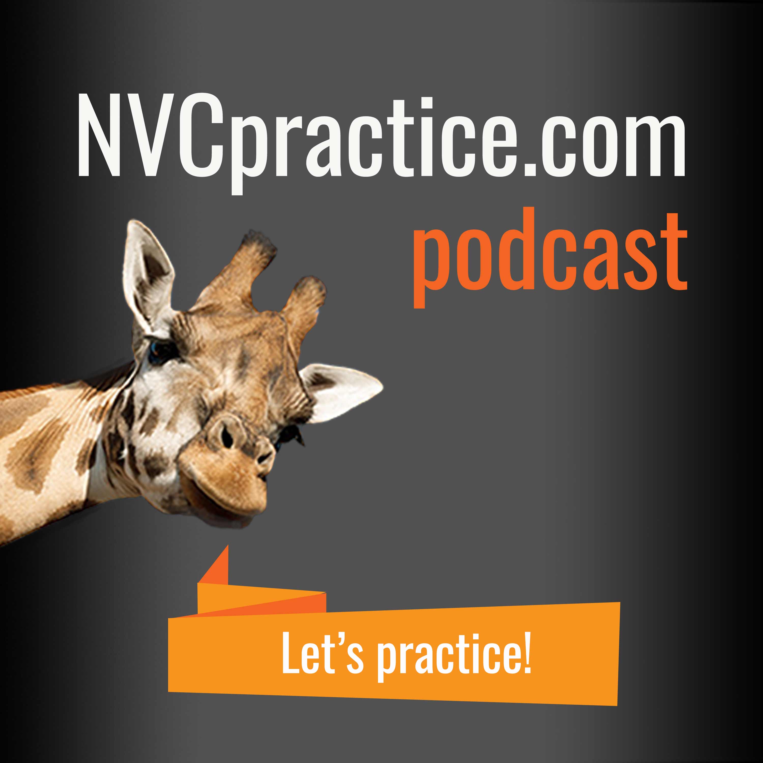 Episode 25: NVC & Deliberate Practice (revisiting, "Thank you for your service.")