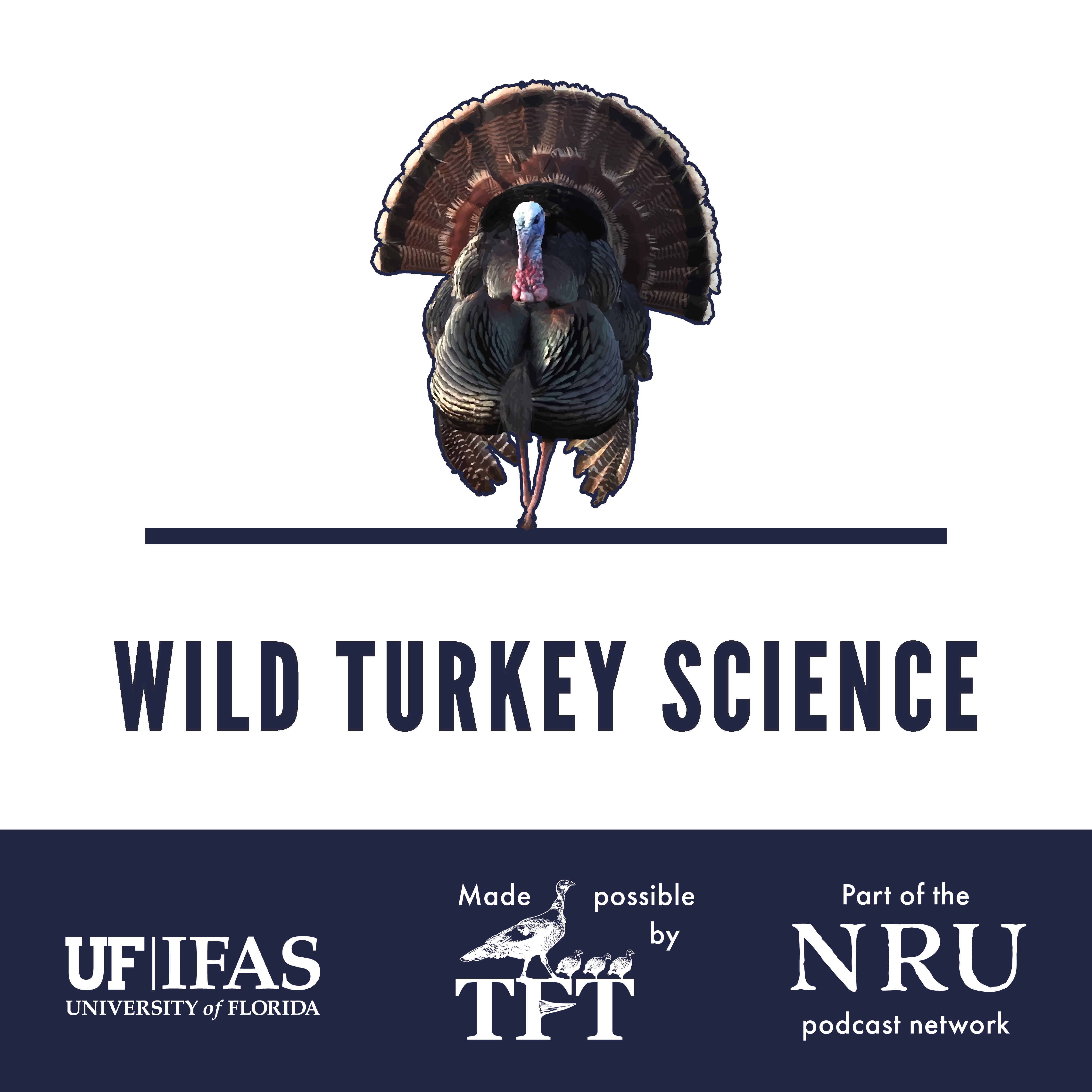 How many gobblers should I hear? | Wild Turkey Science #415