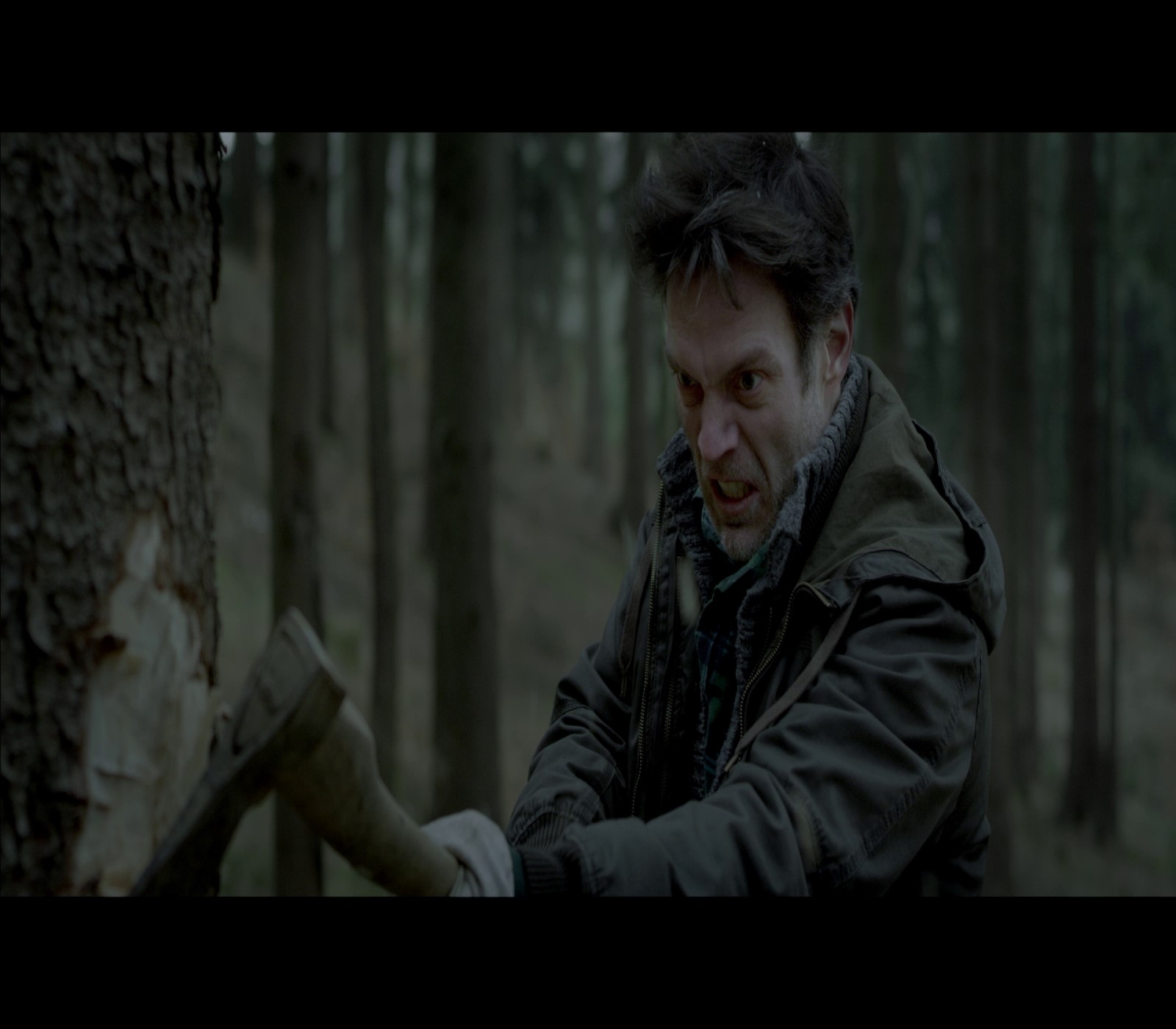 cover of episode (VIDEO) ENTERTAINING SHORT FILMS: WOODS