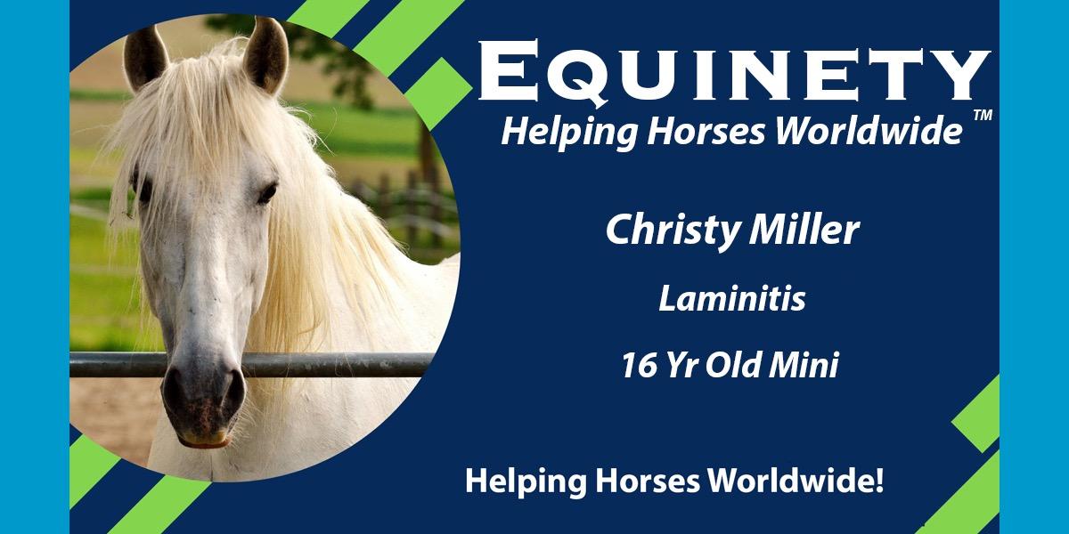 Team Equinety Podcast