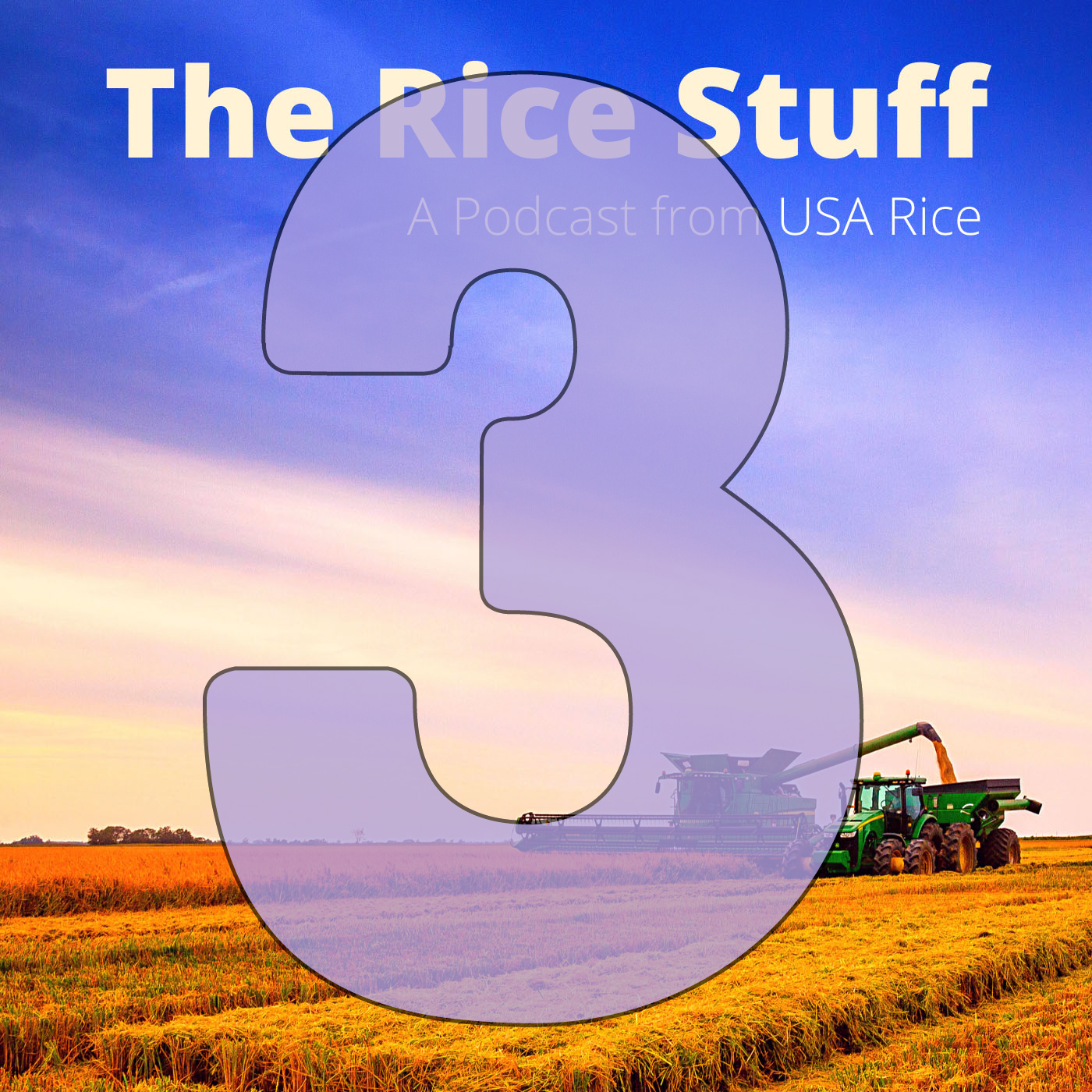 The Rice Stuff