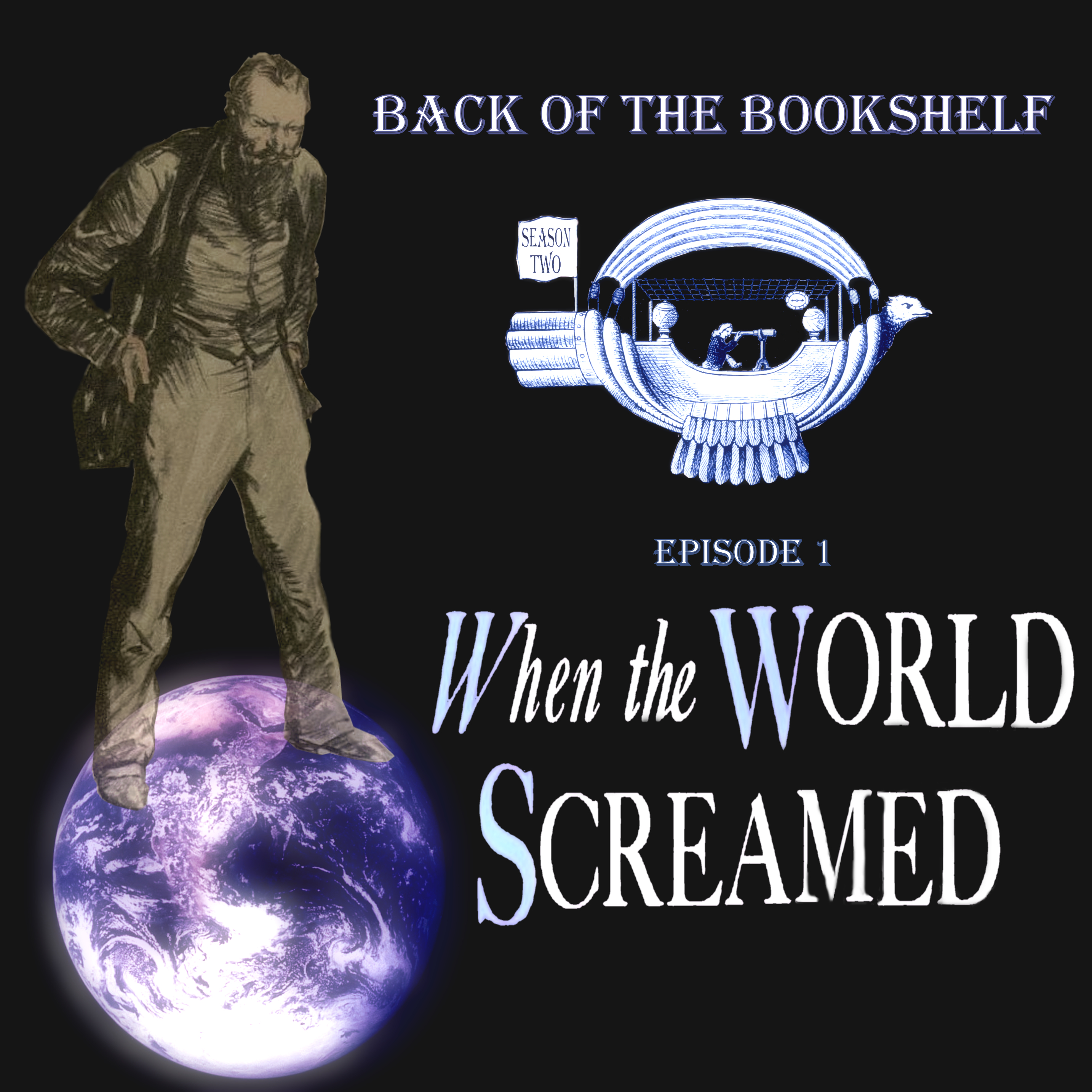 Back of the Bookshelf