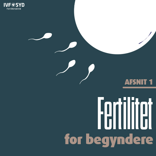 Fertilitet for begyndere