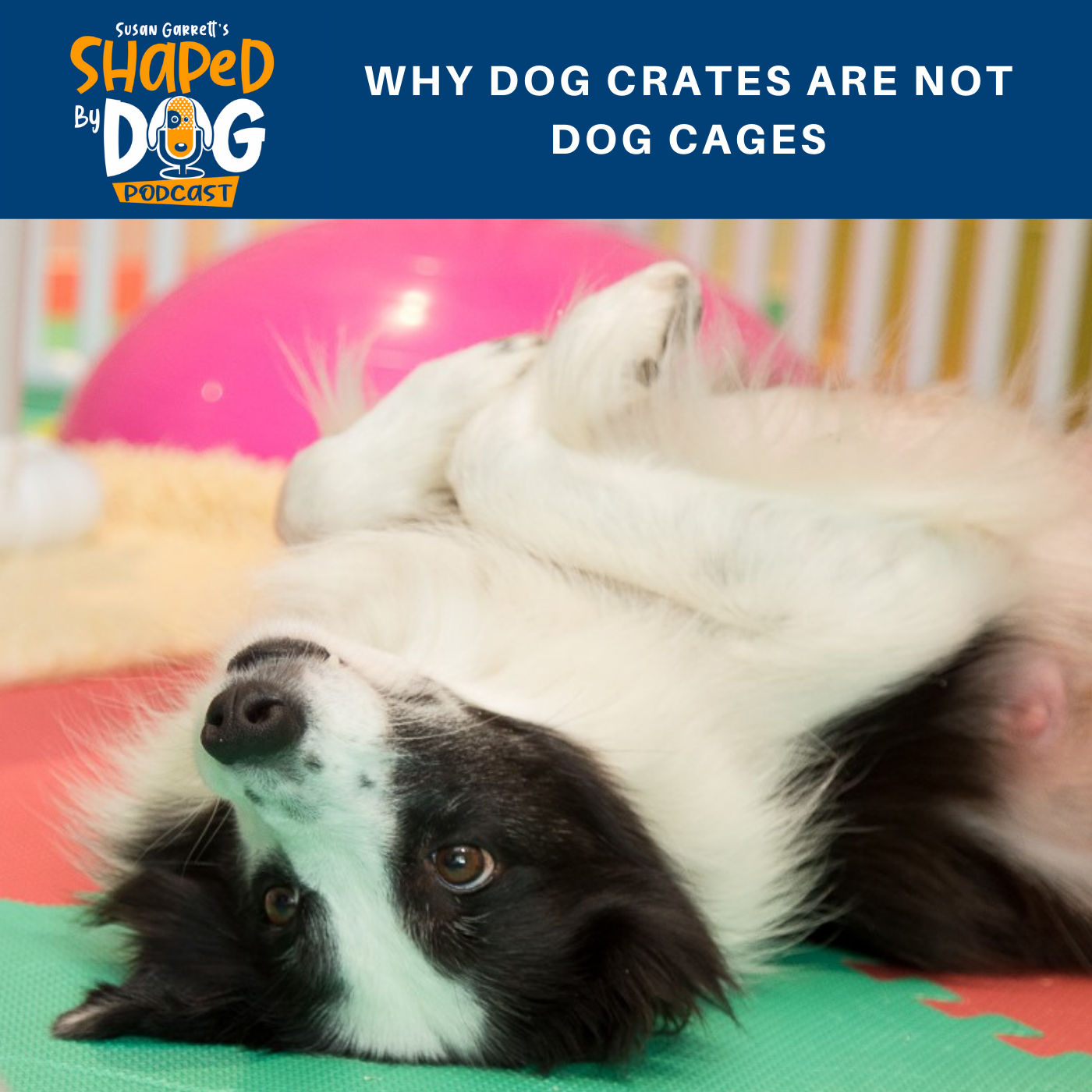 Shaped by Dog with Susan Garrett