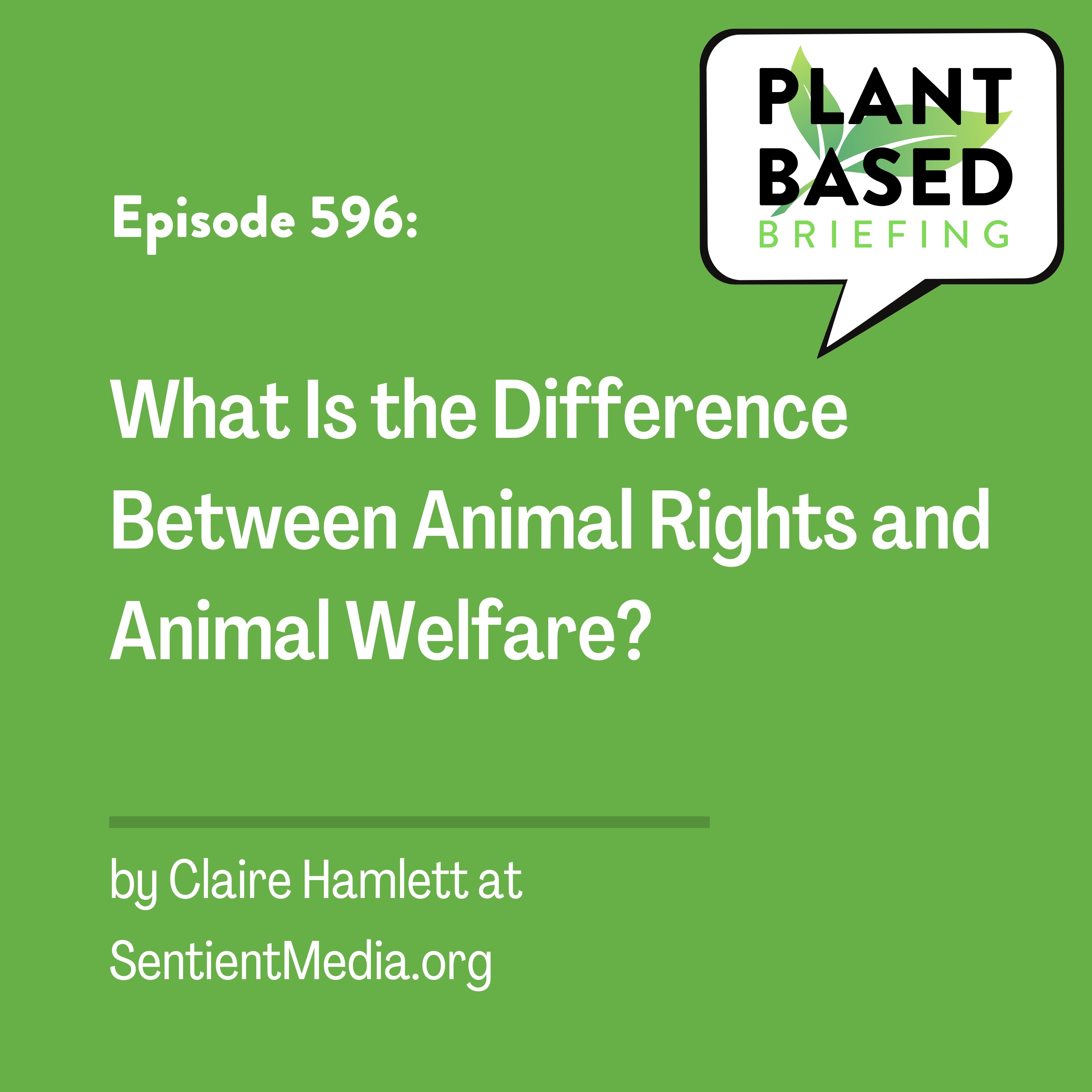 Plant Based Briefing
