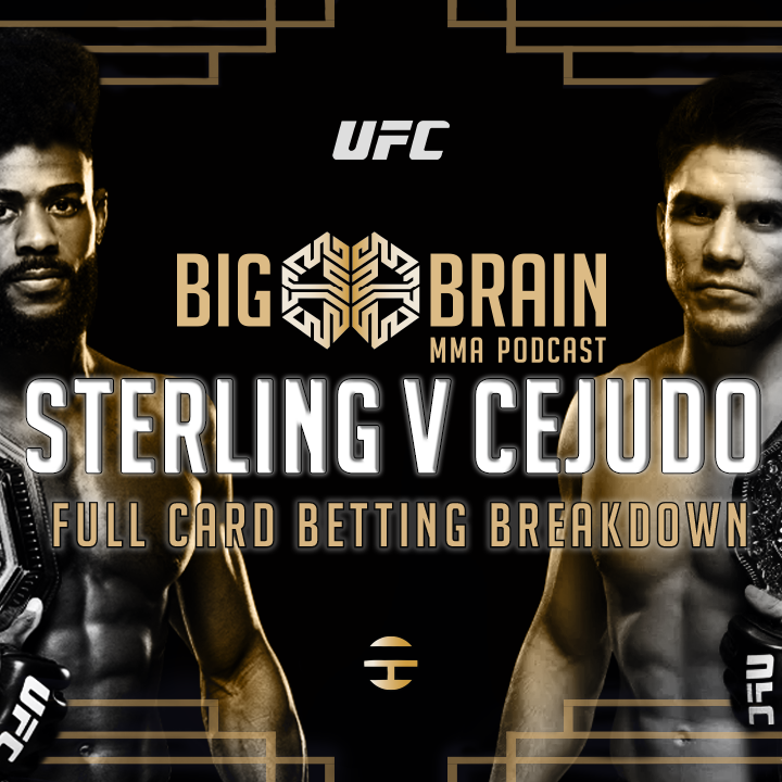 Big Brain MMA Podcast