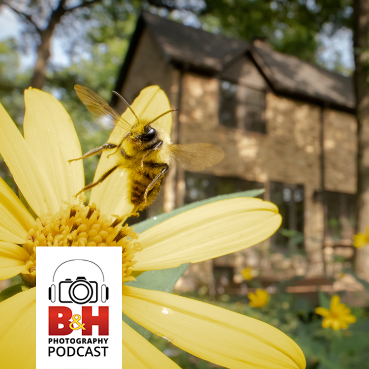 B&H Photography Podcast