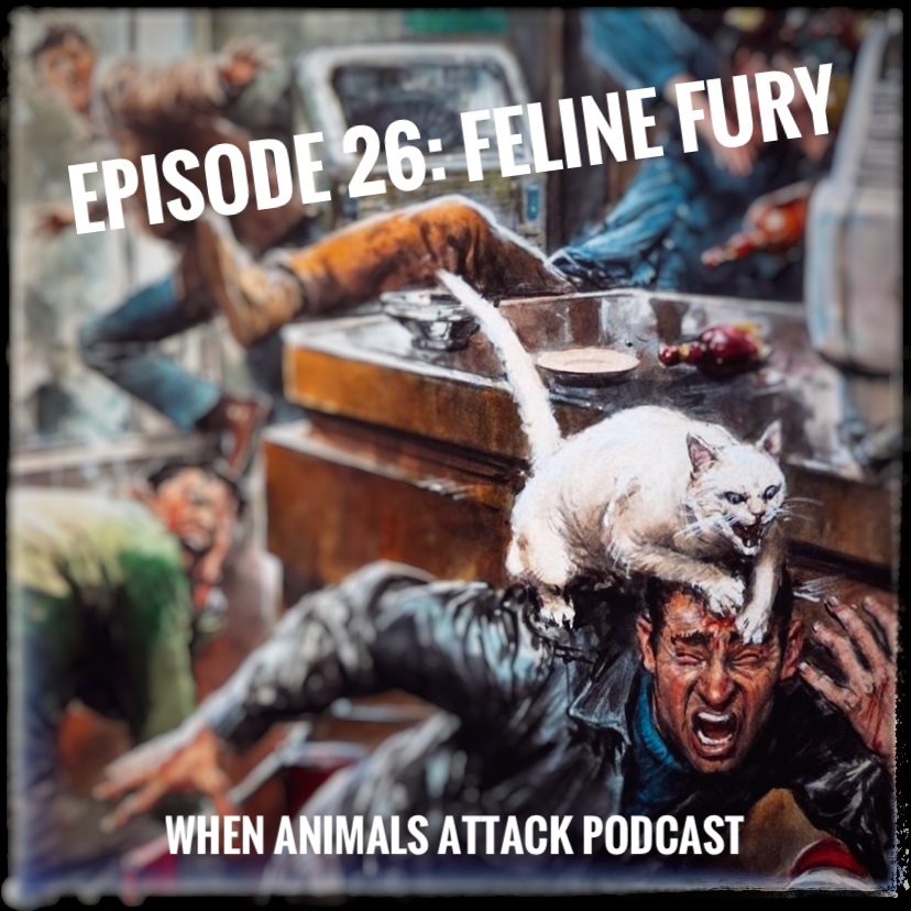 When Animals Attack Podcast