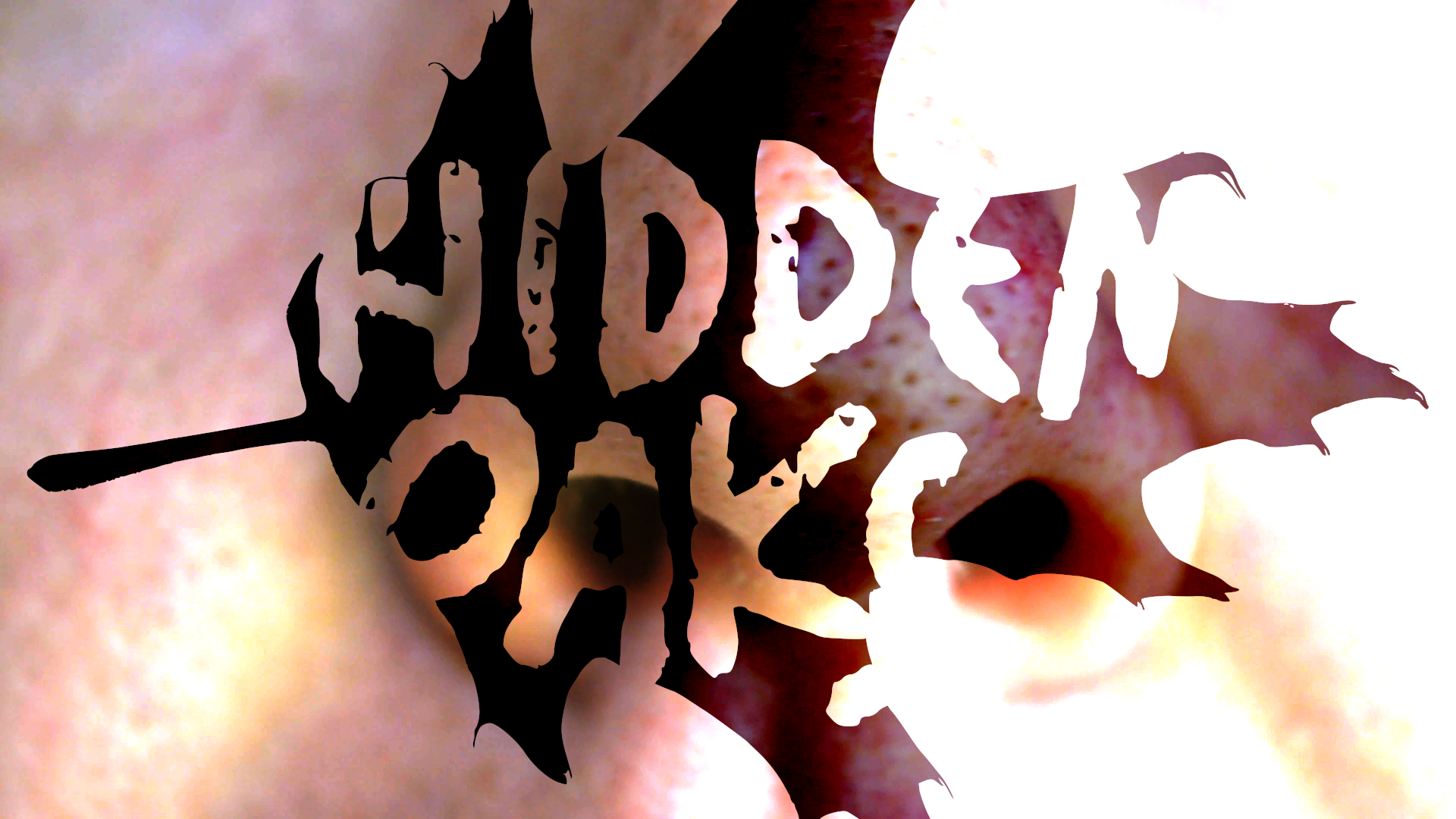 Bonus - Hidden Oaks Short 2: 