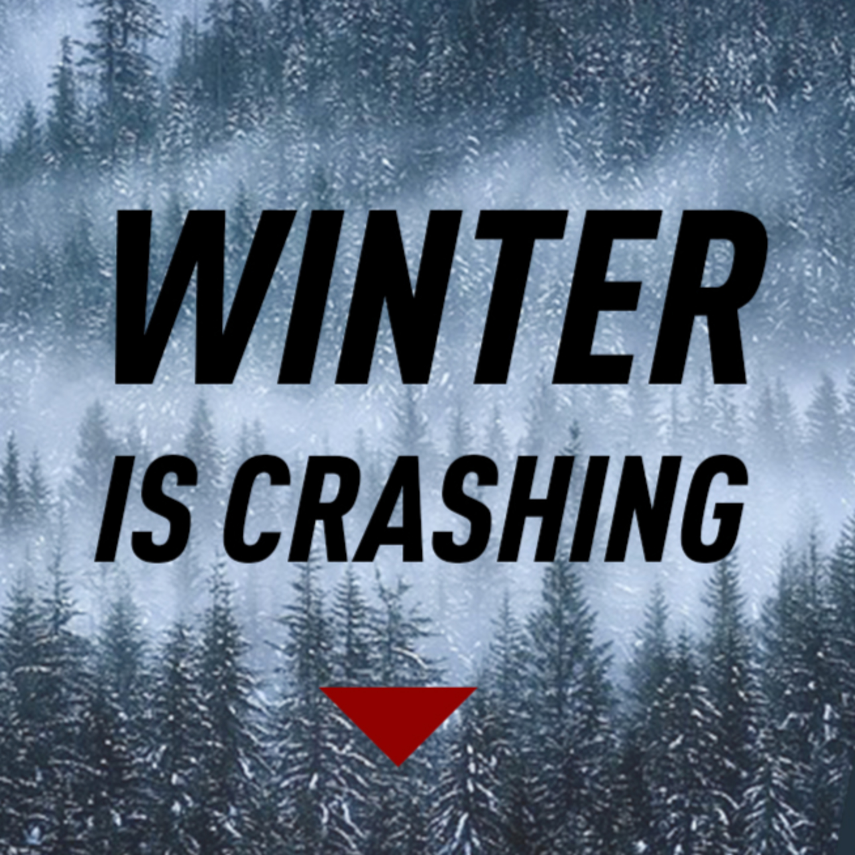 Stock Market Crash, Again? What to look for