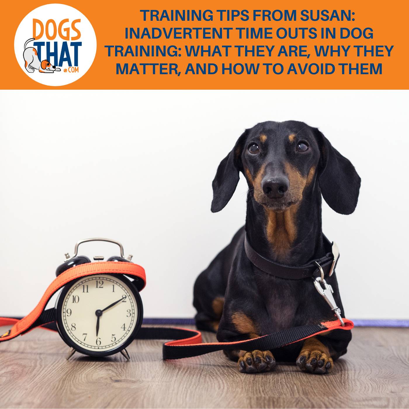 Inadvertent Time Outs In Dog Training: What They Are, Why They Matter, And How To Avoid Them