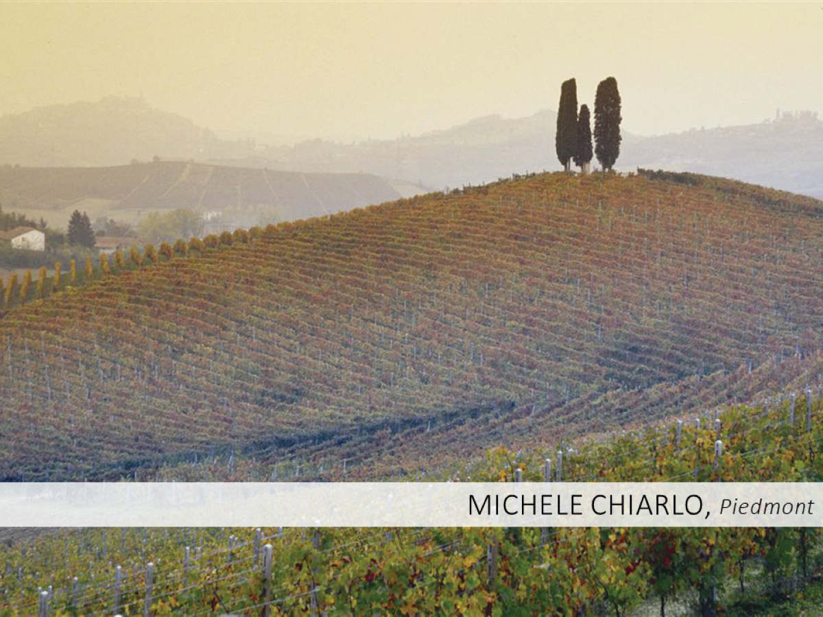 Kobrand Sips & Selling Tips