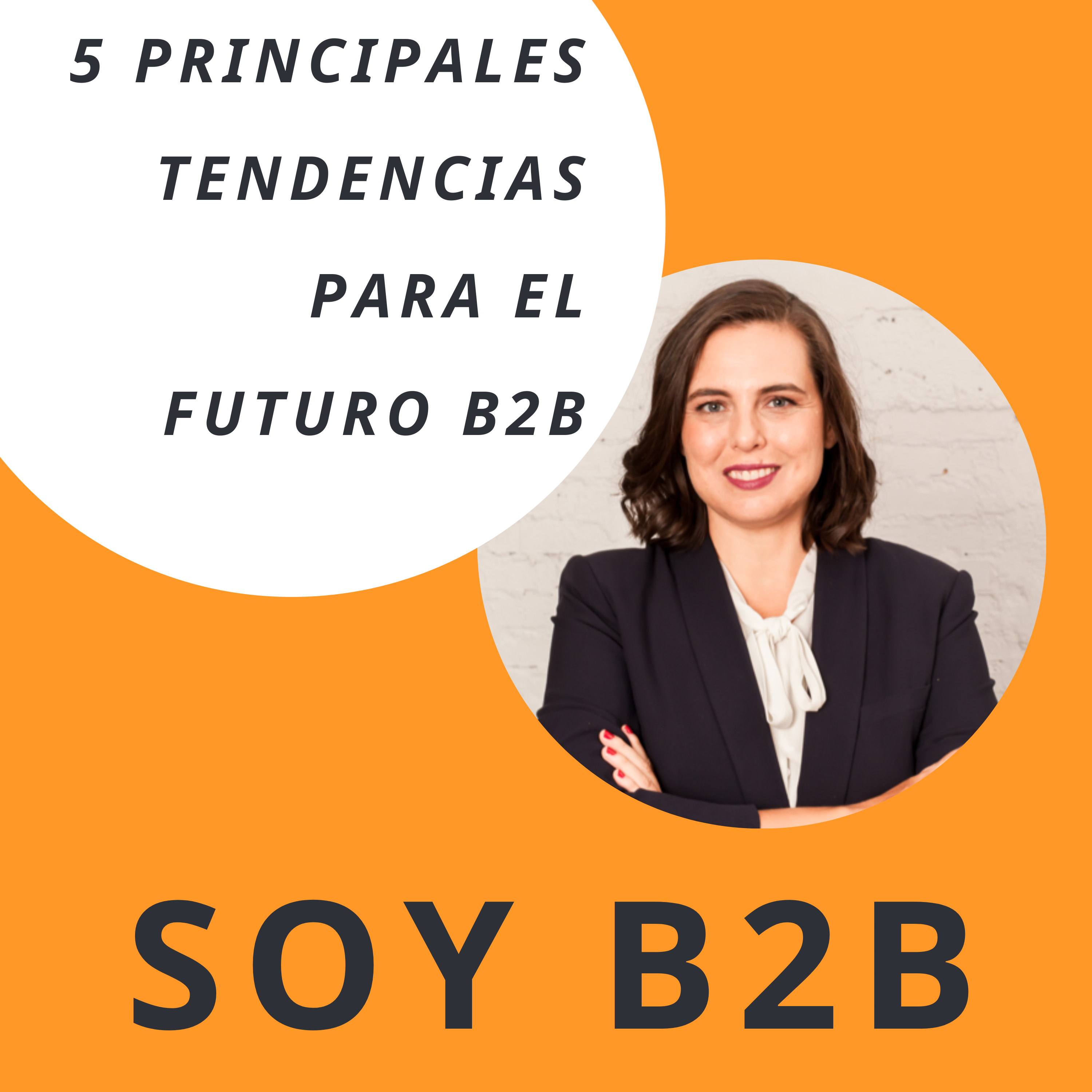 Soy B2B