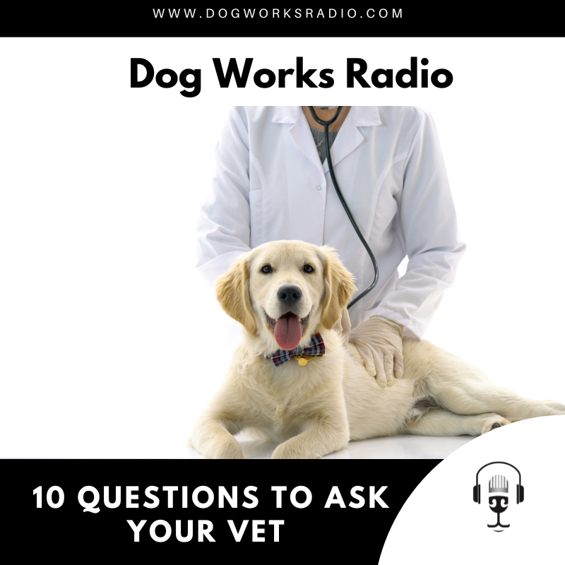 Dog Works Radio
