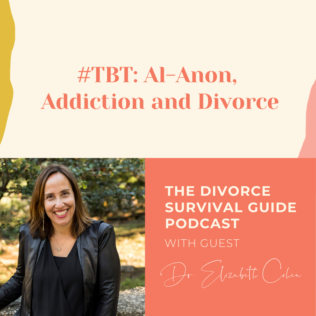 The Divorce Survival Guide Podcast