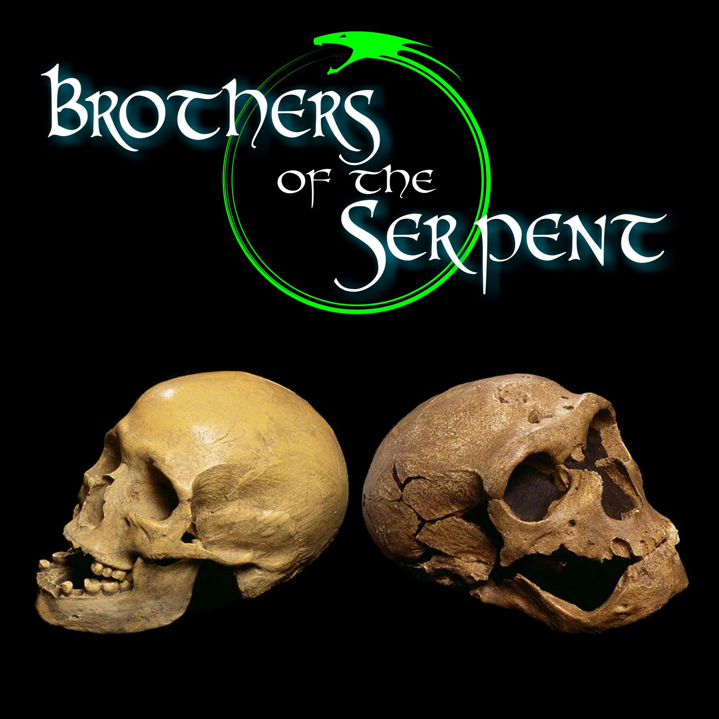 Episode Logo