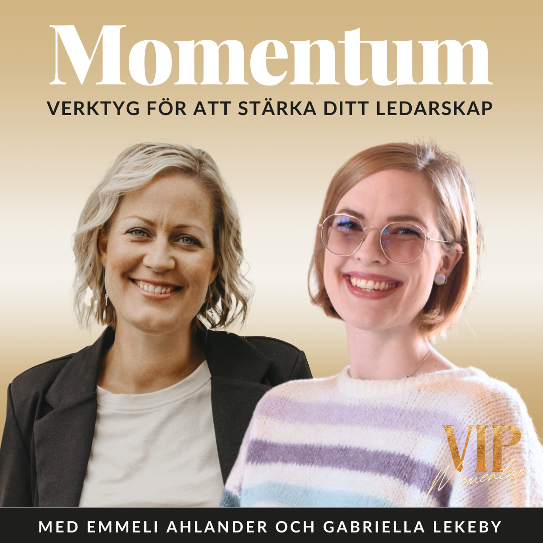 MOMENTUM – vision till verklighet, transformerande ledarskap och frihetsföretagande