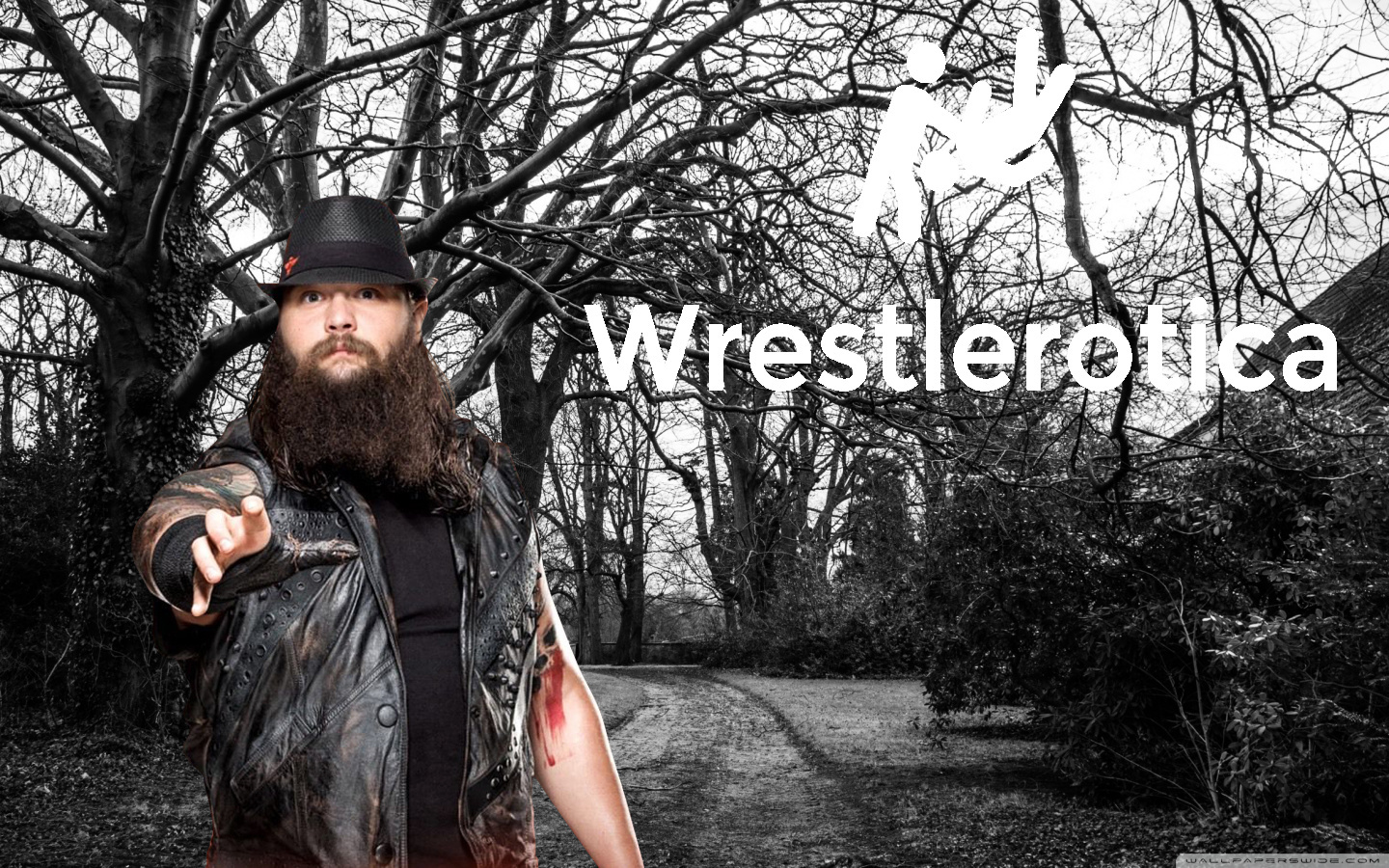 Wrestlerotica