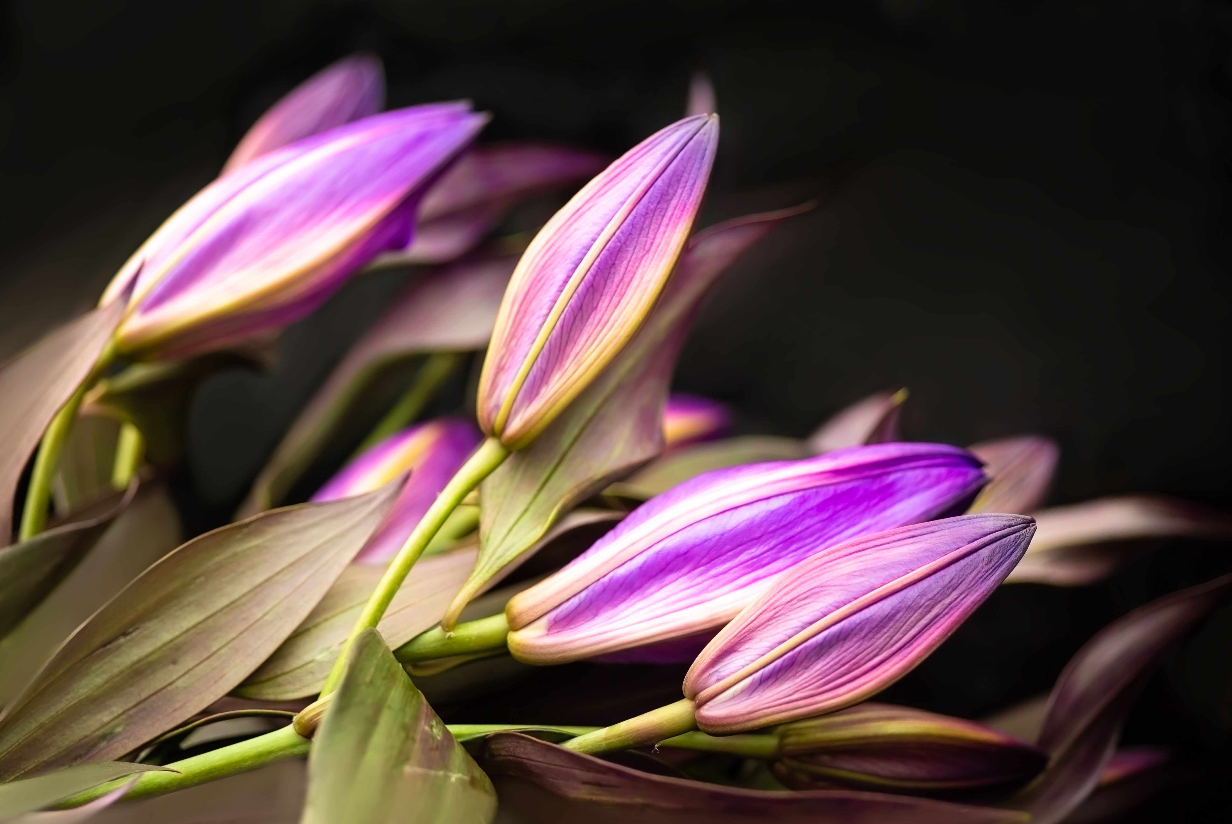 Are you broken? You can do more than survive: you can thrive.