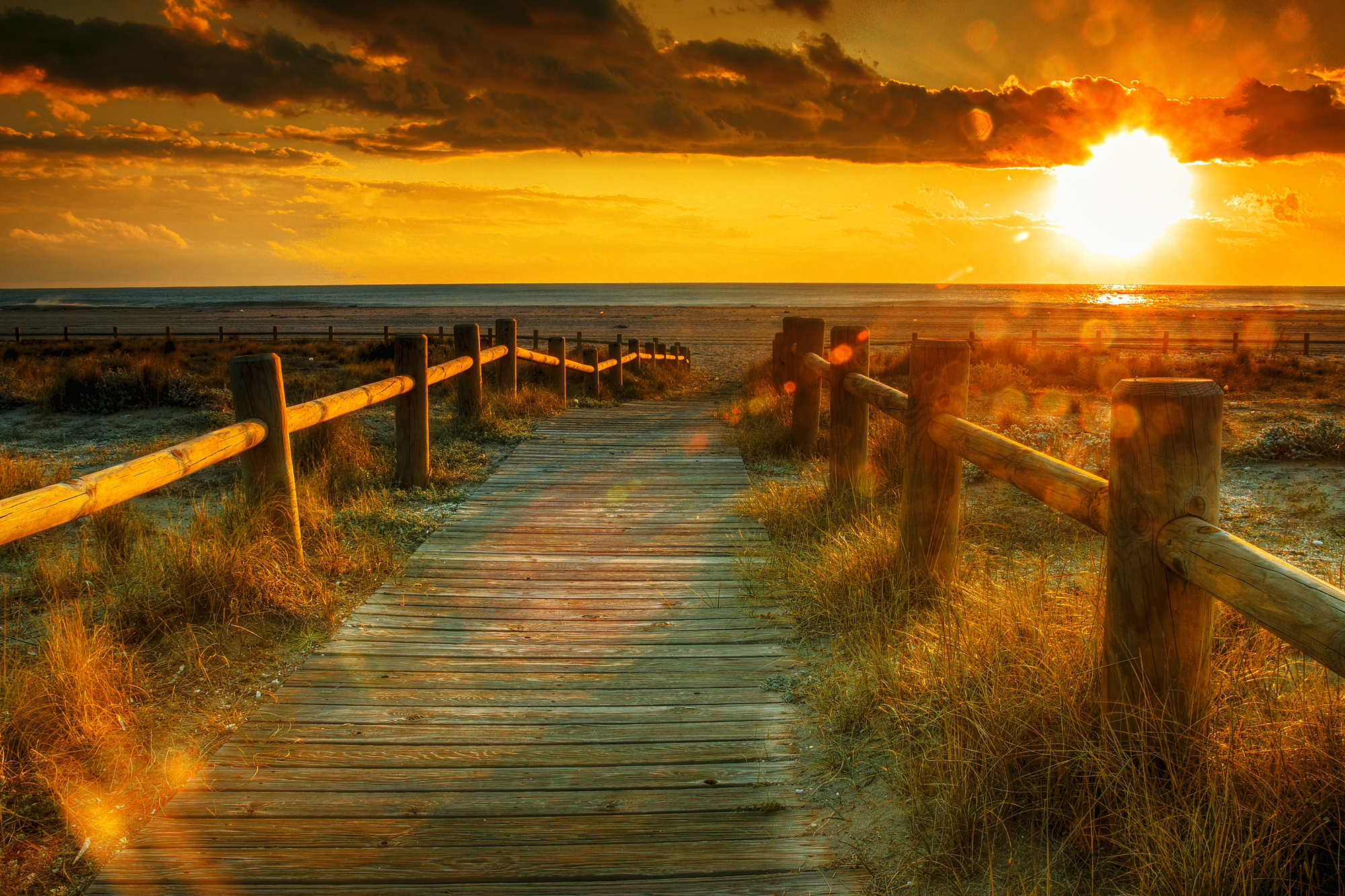 Power of Purity | Helping Men to Honor God with their Sexual Gift