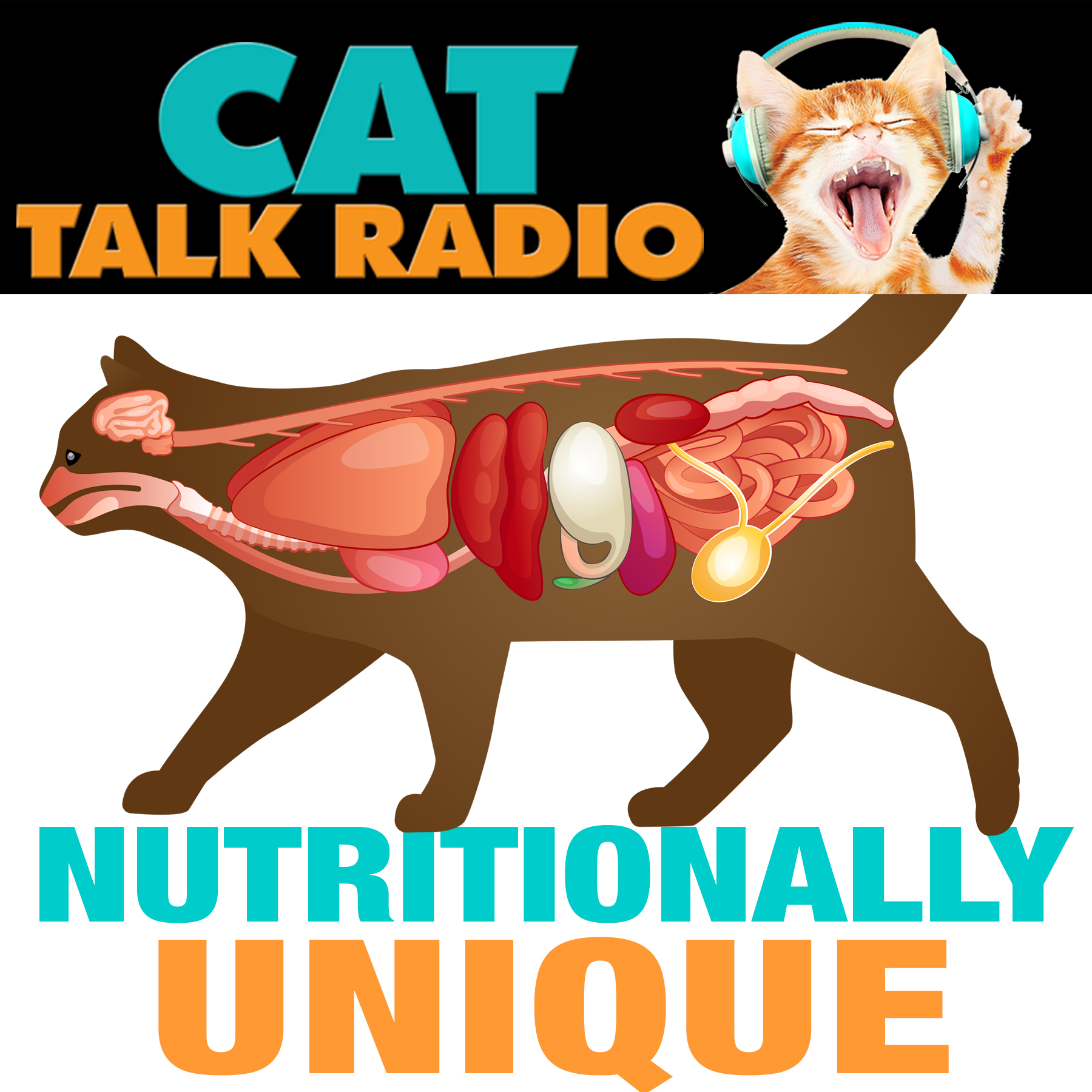 What Makes Cats So Nutritionally Unique?