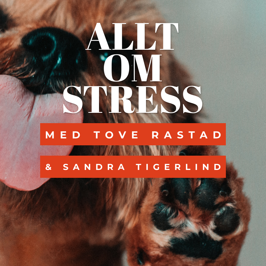 Hundpodden Vår Bästa Vän