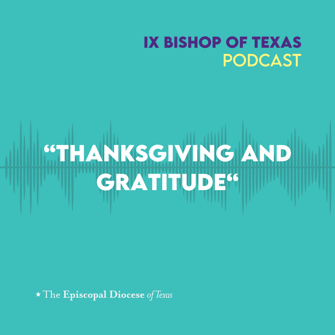 Ninth Bishop of Texas