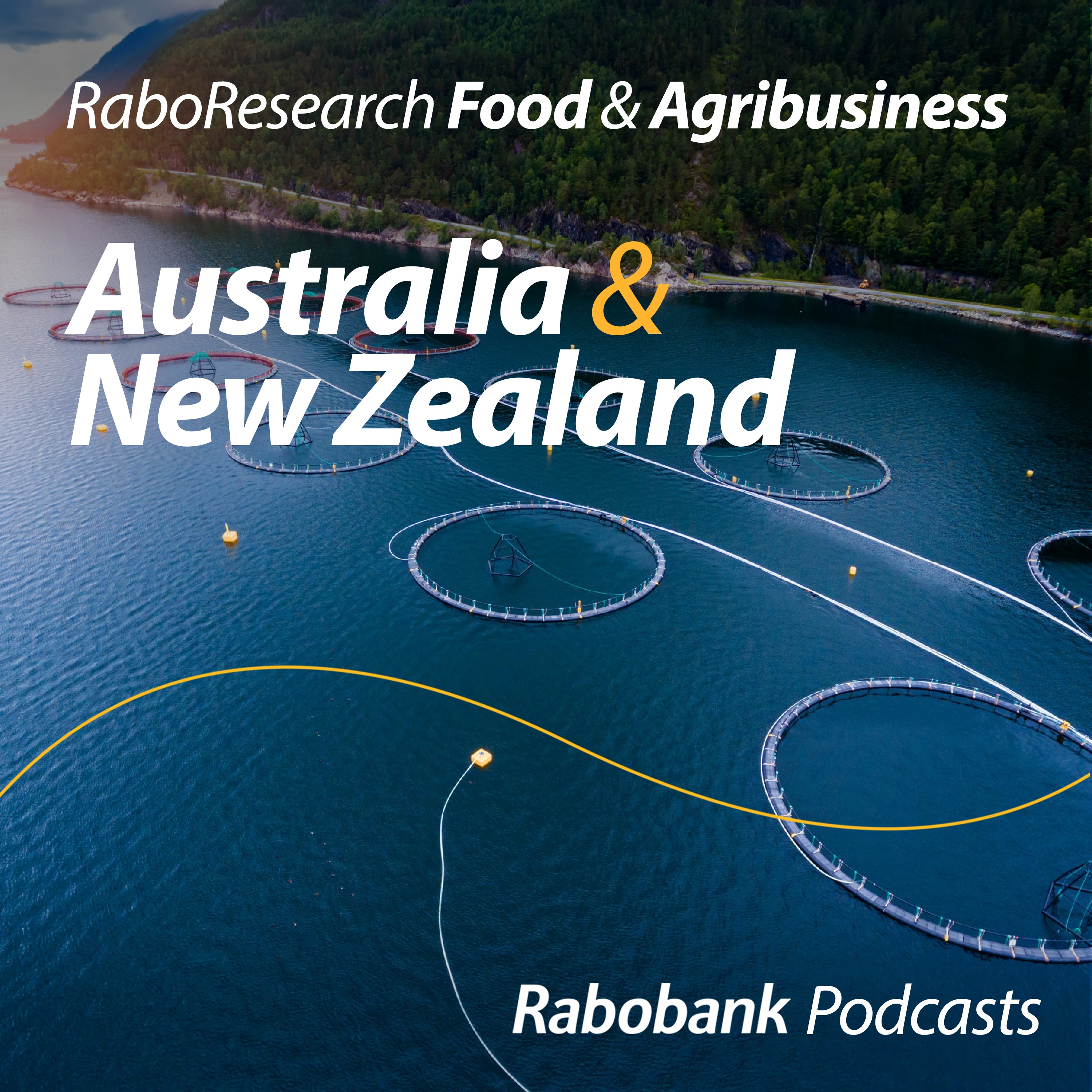 Diving into seafood: 2026 outlook