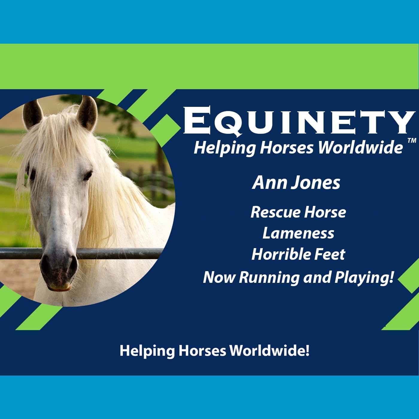 127 - Ann Jones - rescue horse – lame - horrible feet – now running and playing