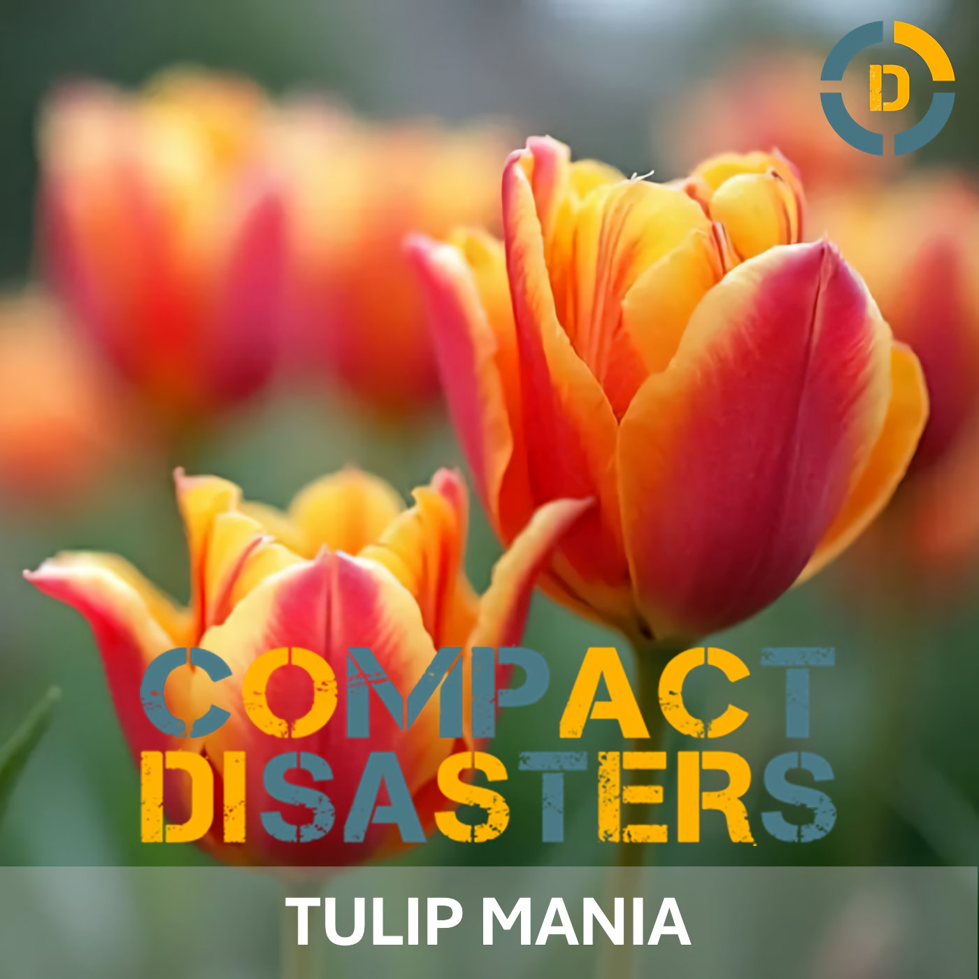 Tulip Mania