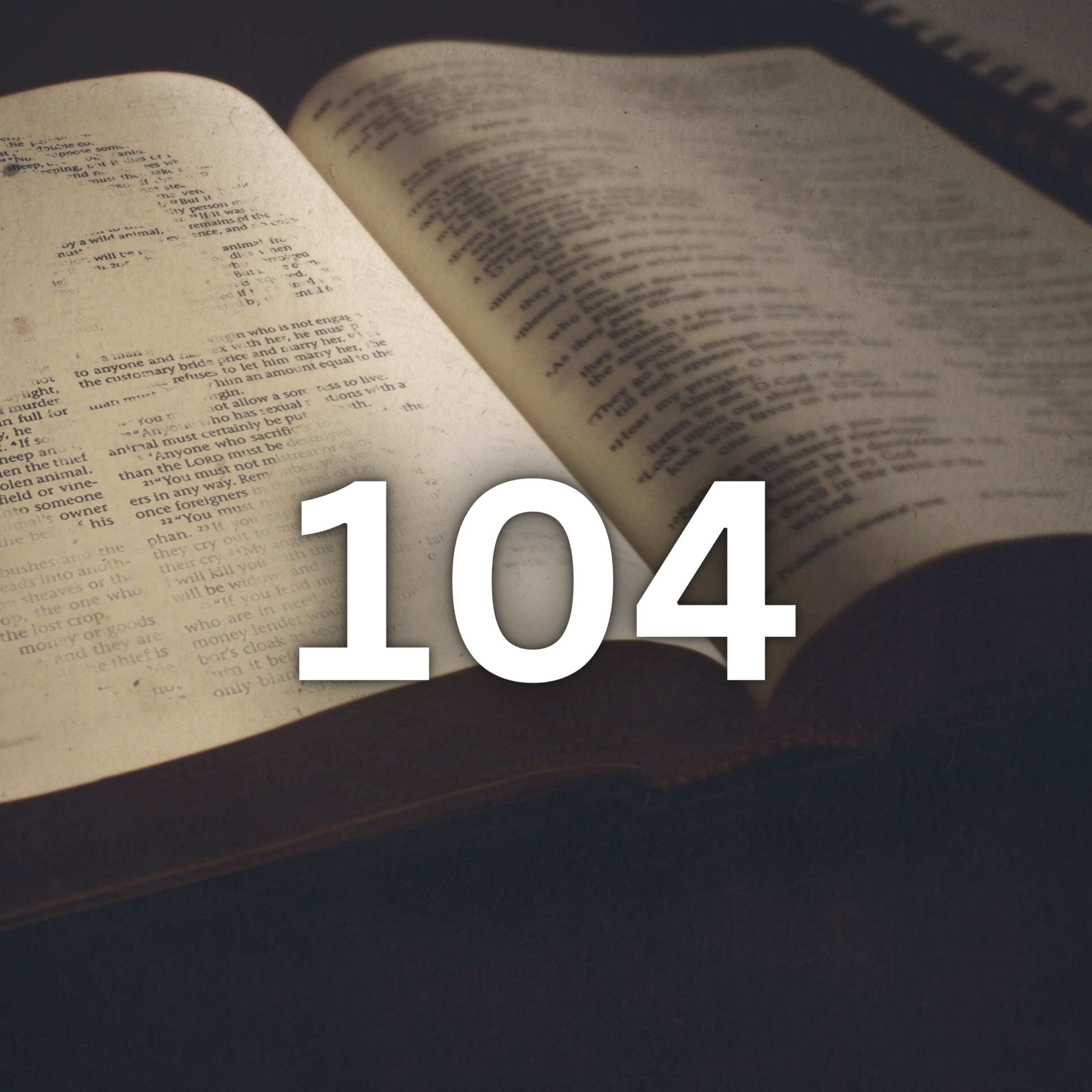 Walking With The Word | The Bible In 365