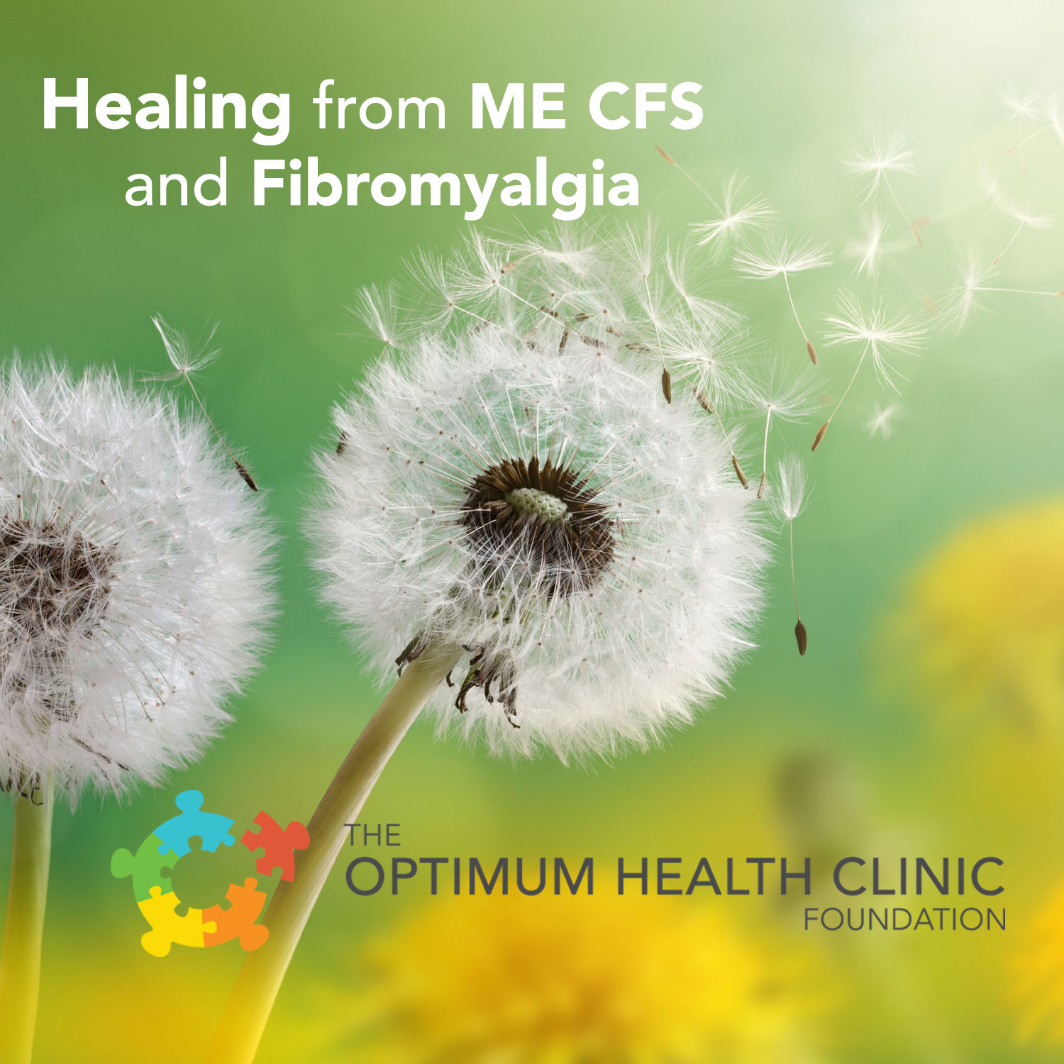 Healing from ME, CFS and Fibromyalgia