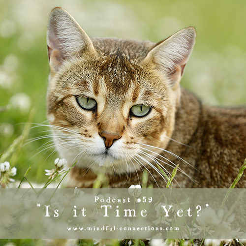 Let\'s Have A Chat!