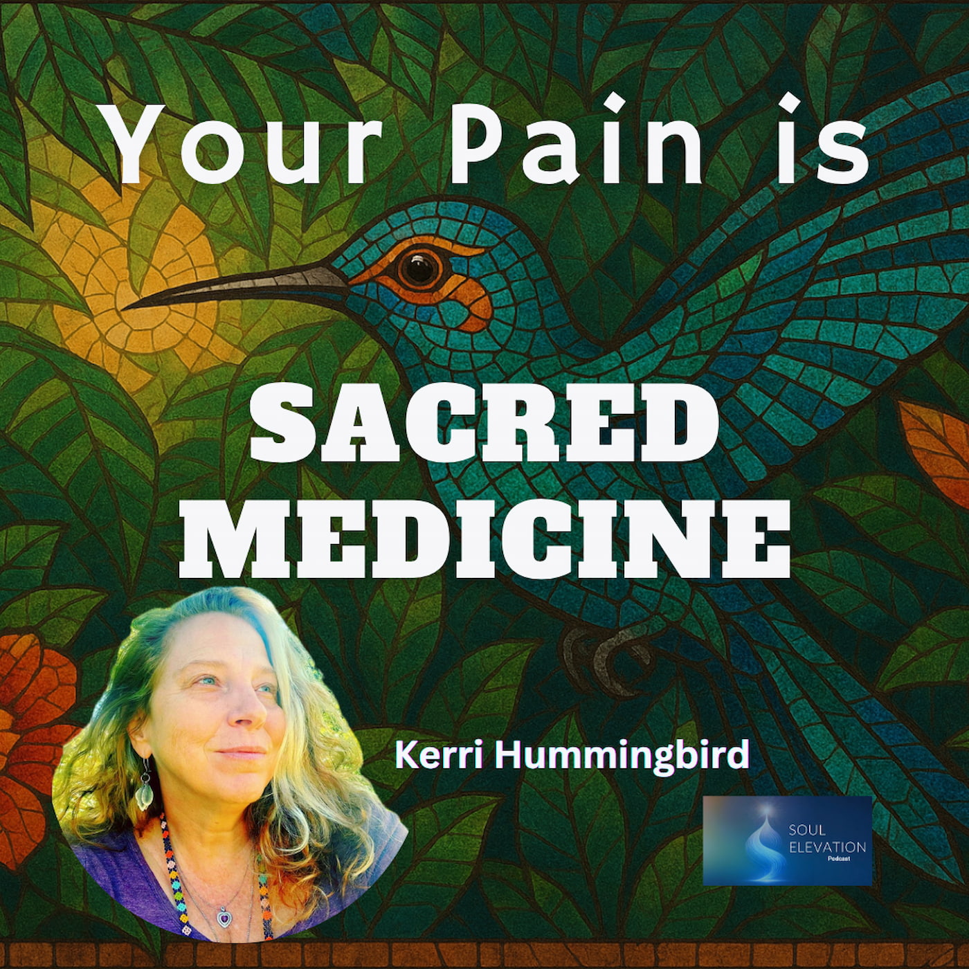 556. Inner Medicine & Shamanic Awakening | Animal, Plant & Galactic Consciousness - Kerri Hummingbird